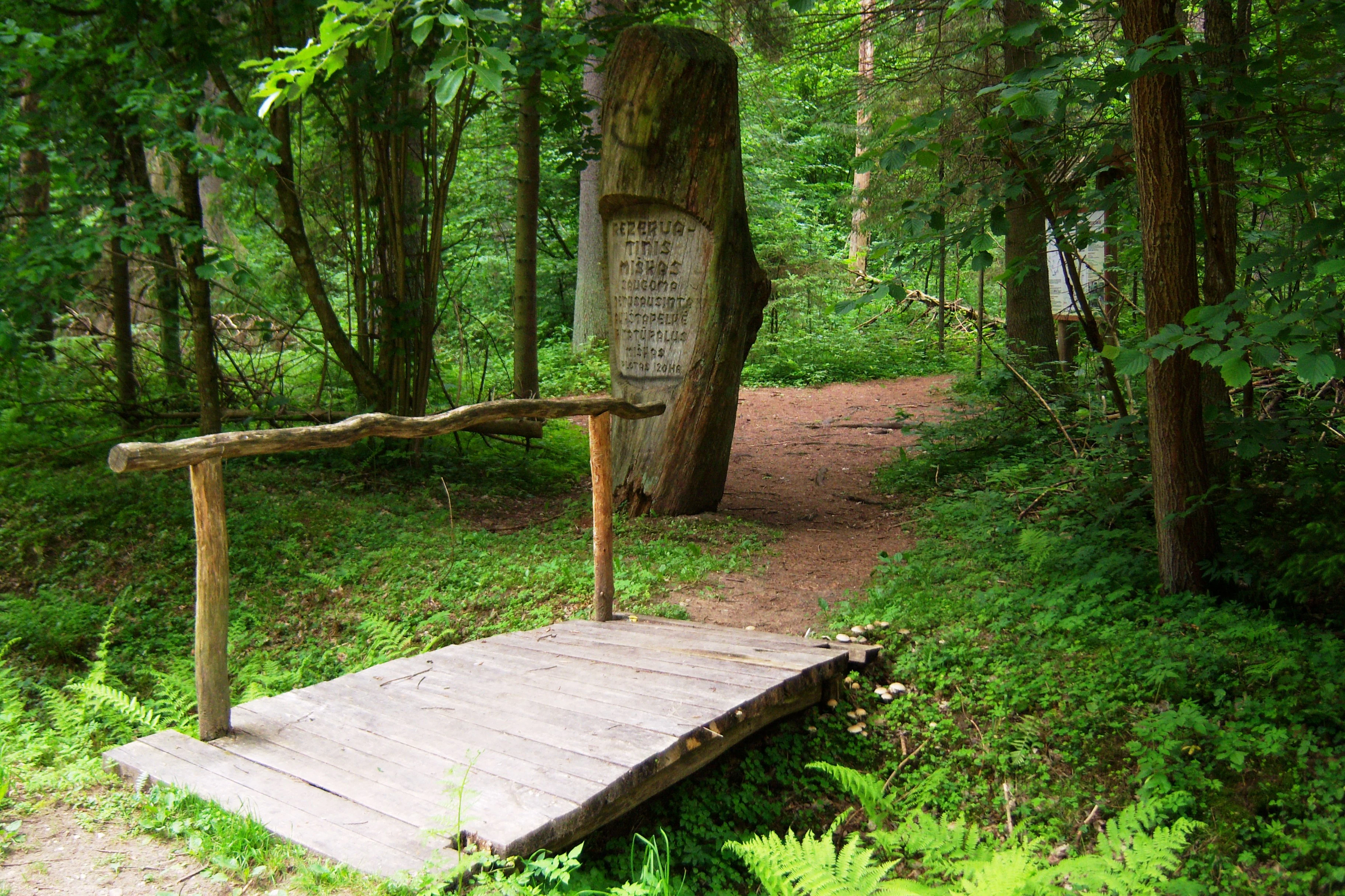 A small rustic wooden footbridge spans a minor crossing on a dirt forest path; a carved wooden signpost stands upright behind the bridge in a lush, green woodland setting.
