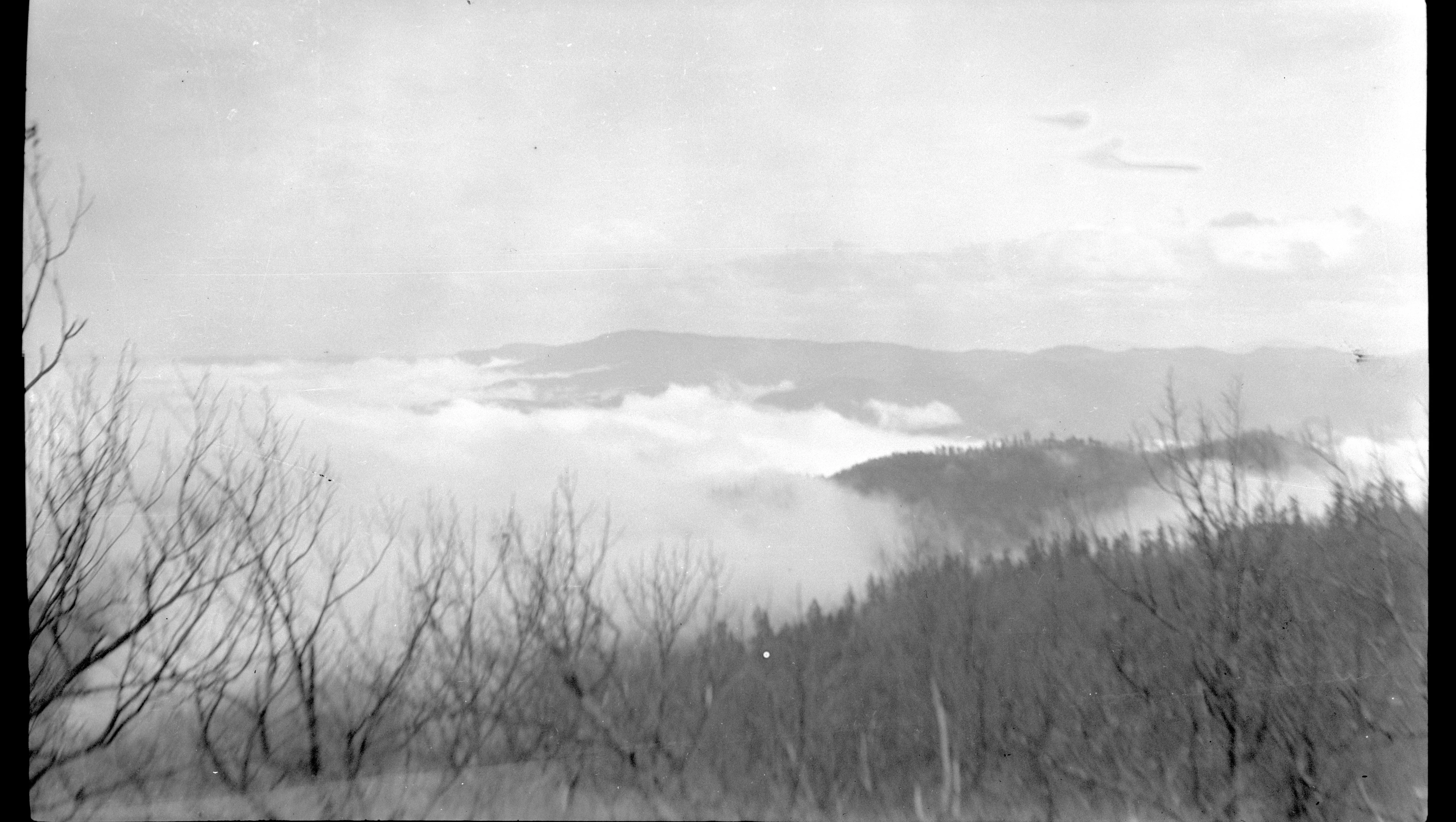 A black and white landscape photograph showing rolling mountain ridges partially obscured by a thick blanket of fog, viewed through bare trees in the foreground.