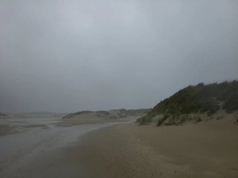 Sandy beach with shallow water channels leading to distant dunes under overcast sky