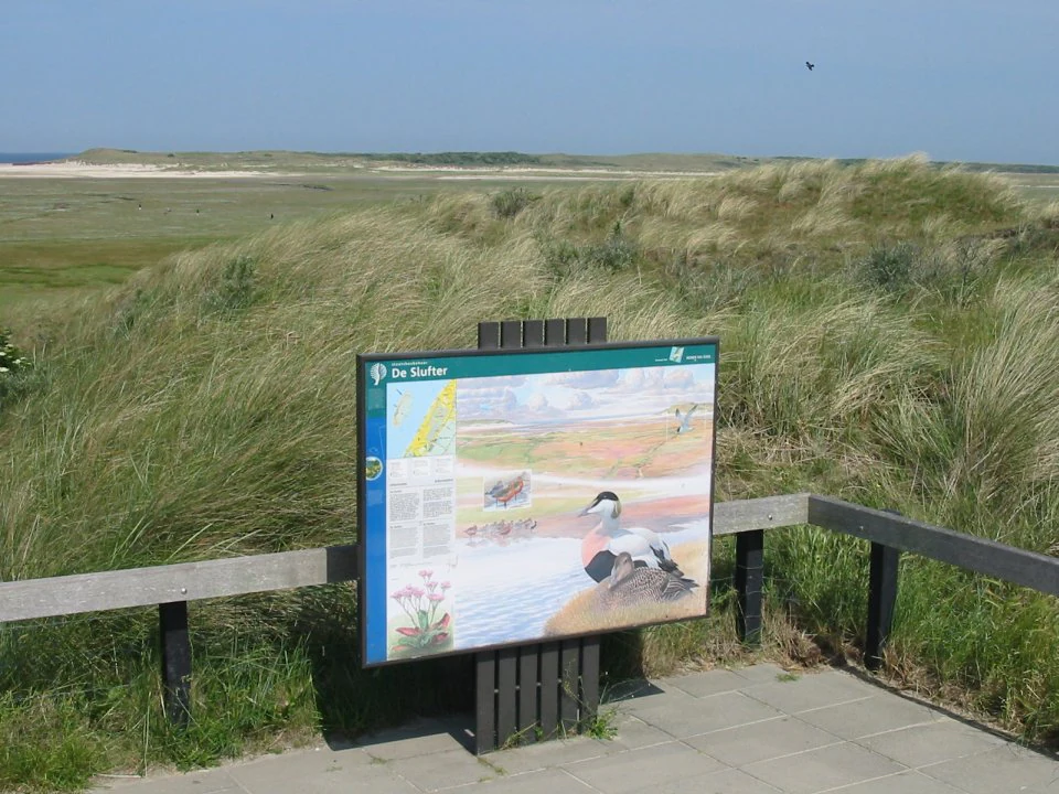 Informational sign titled 'De Slufter' mounted on wooden posts with tall grasses and coastal landscape in background