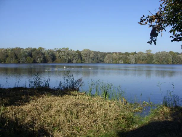 A wide view across the calm waters of Dunger See, with a dense forested shoreline in the distance and tall grasses in the foreground.