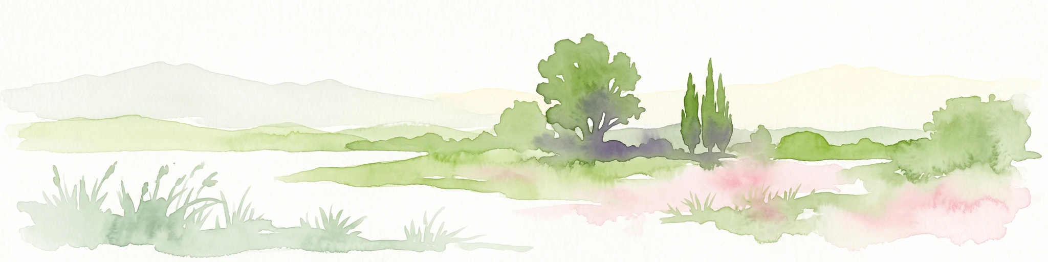 A minimalist watercolor illustration featuring a soft, light-toned marsh landscape with green trees, reeds, and rolling hills in the background.
