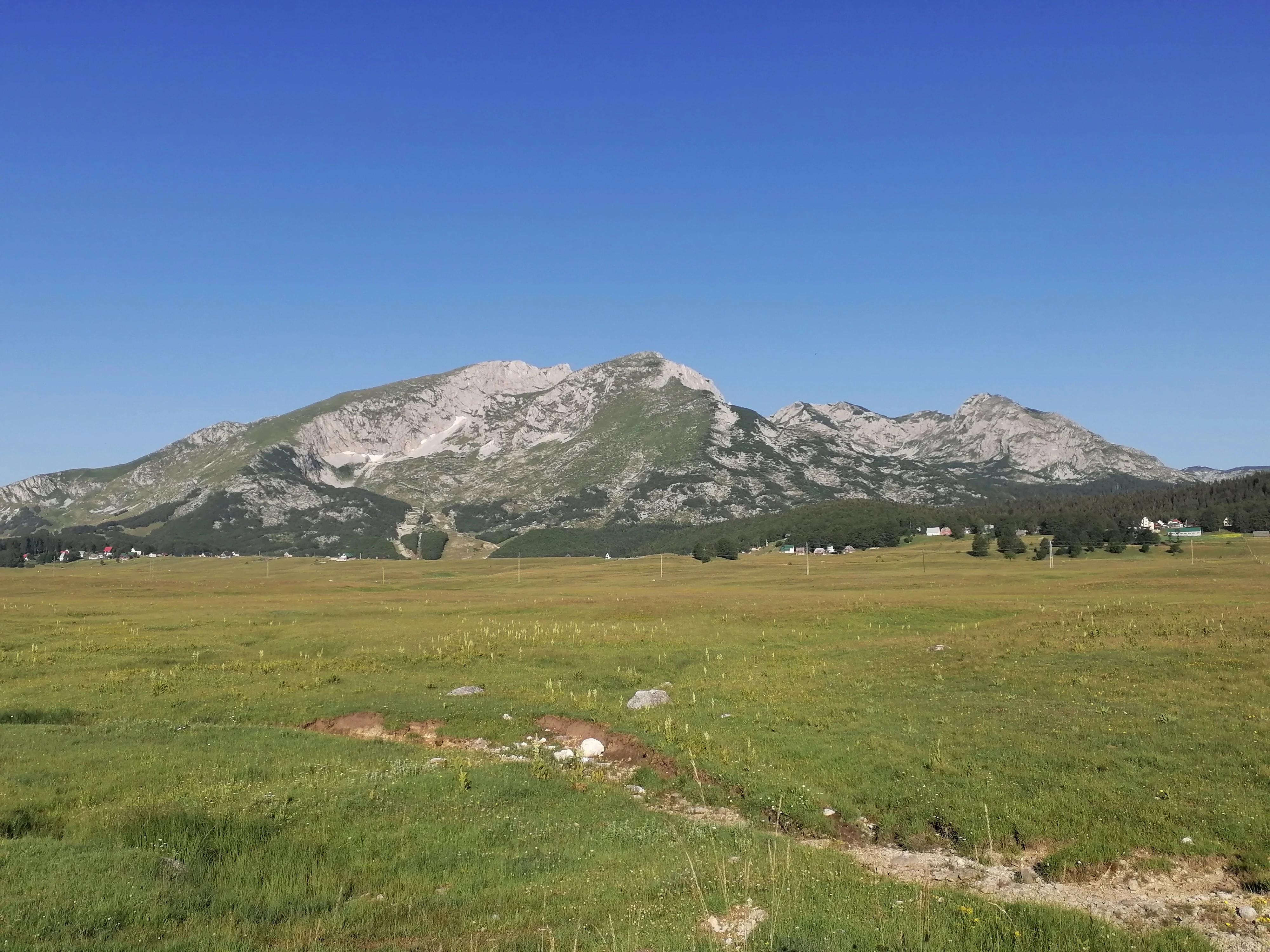 Wide landscape shot of a massive, rocky limestone mountain range under a clear blue sky, rising above a vast, flat grassy field in Durmitor National Park.