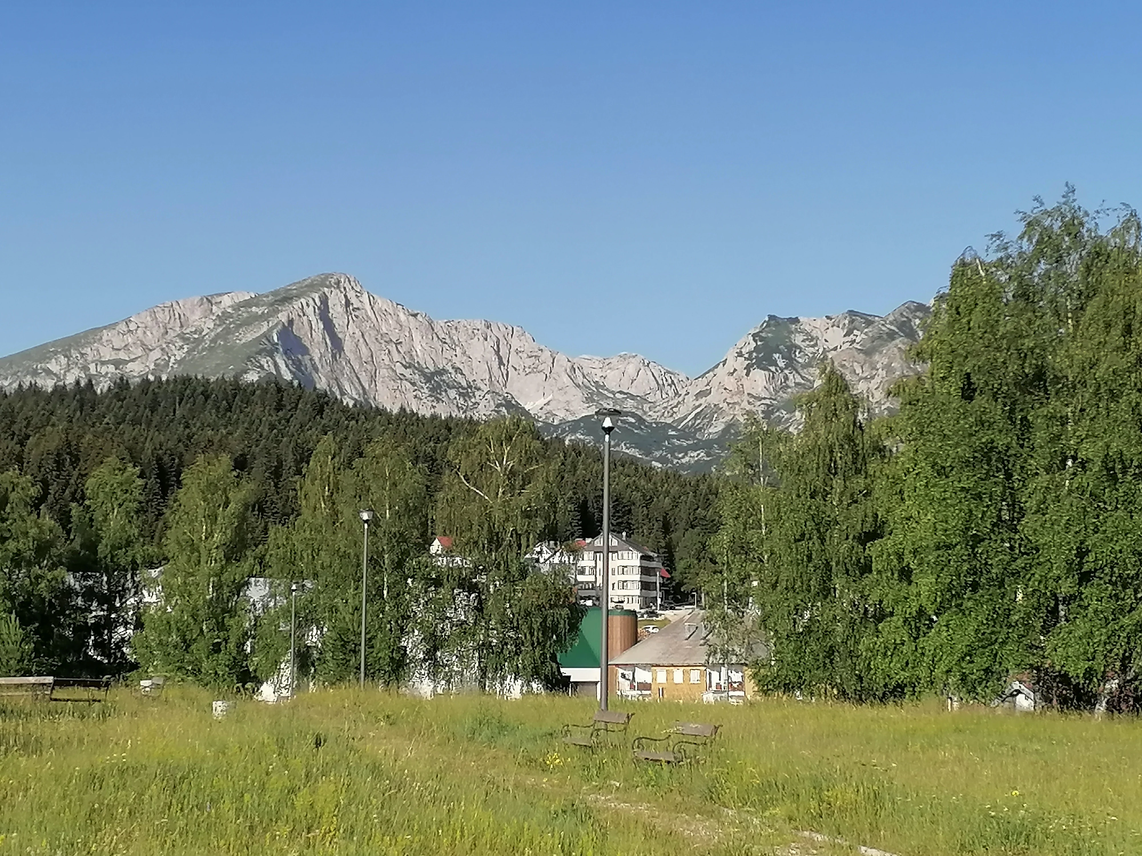 Grass field with trees and mountains in the background under a clear blue sky
