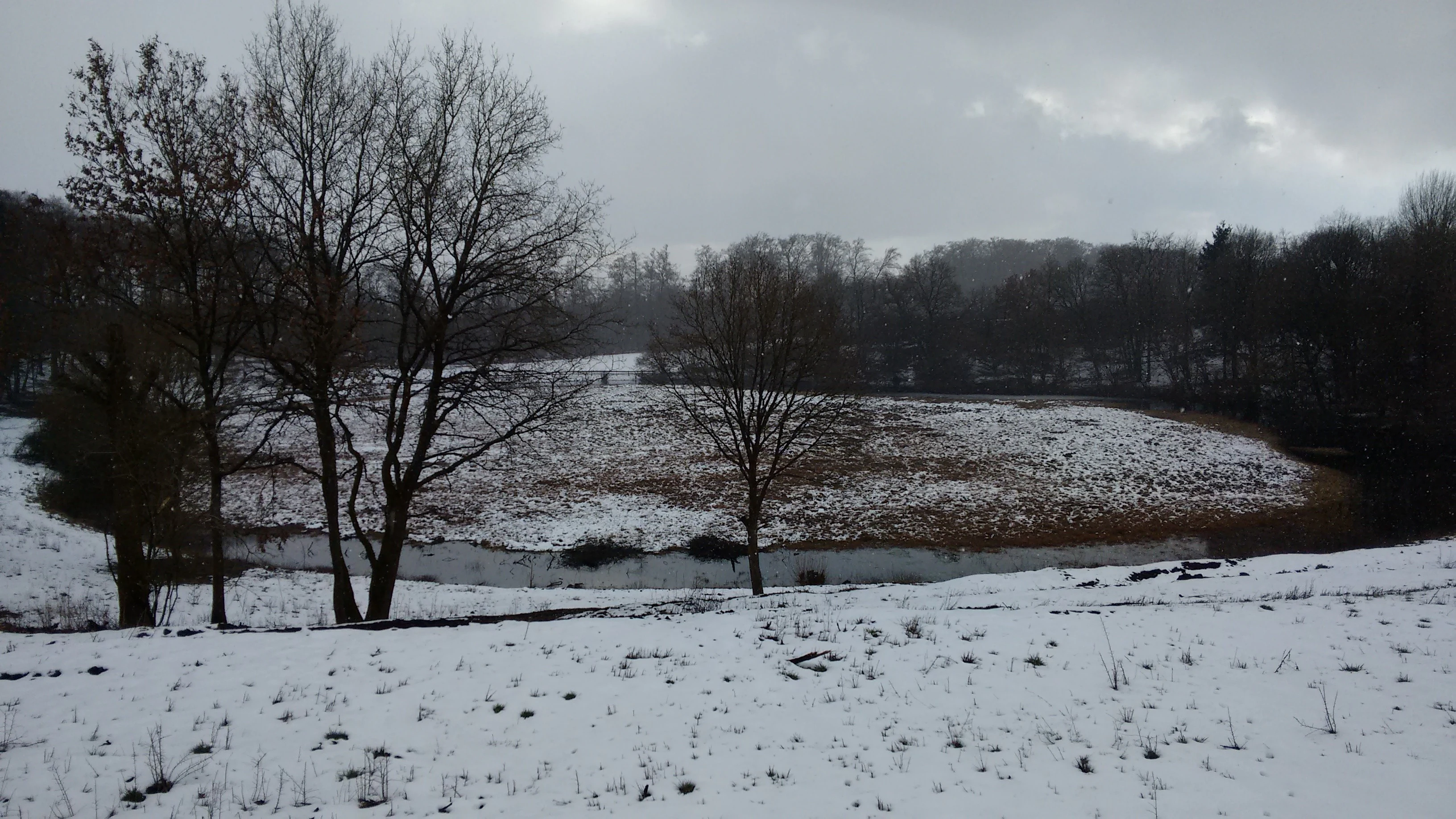 A snowy, overcast winter scene of a flat, marshy landscape surrounded by bare trees in the Eifel volcanic region.