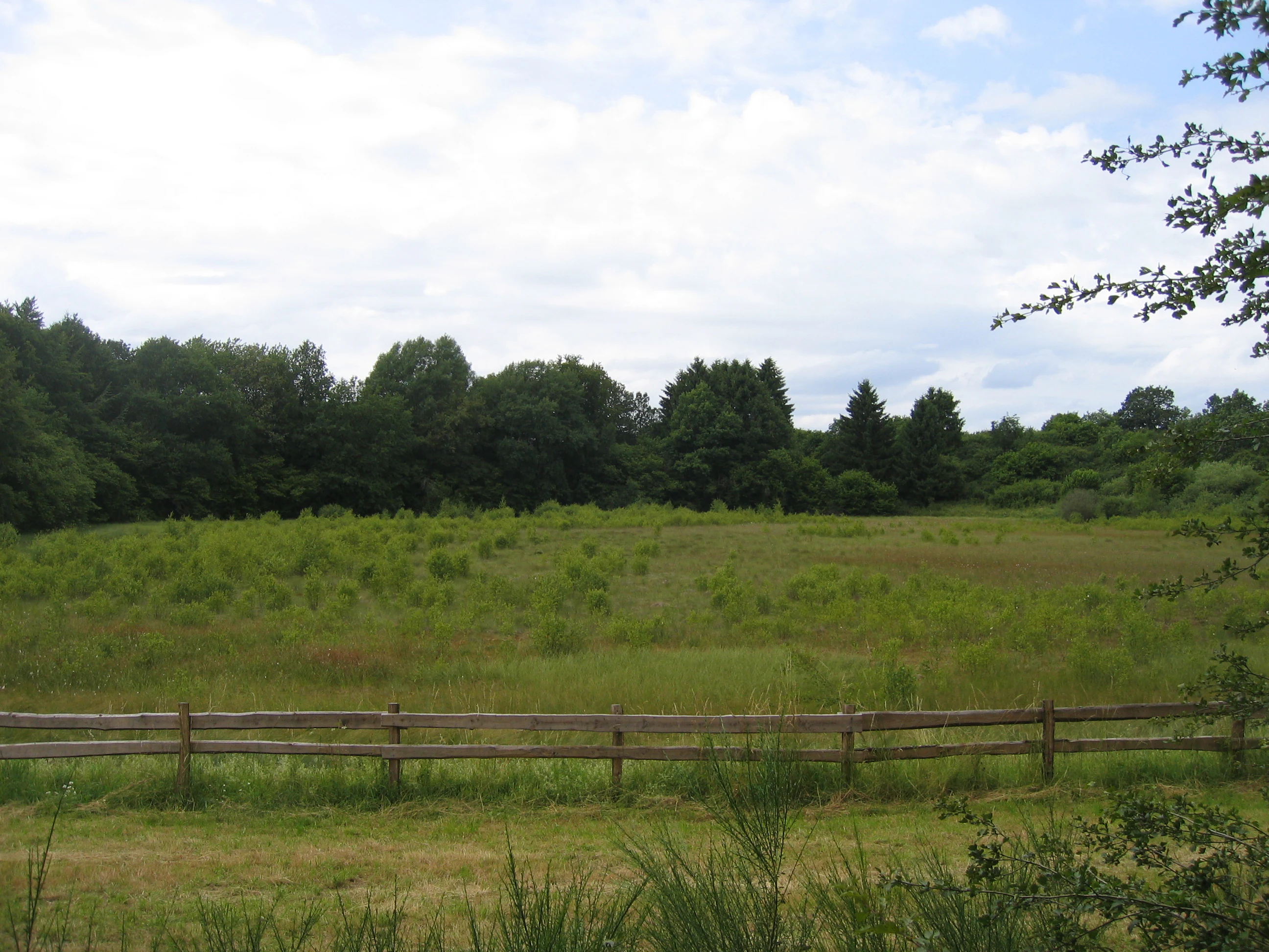 A horizontal view of a grassy field within a shallow crater, enclosed by a wooden split-rail fence in the foreground and a dense line of trees in the background under a cloudy sky.