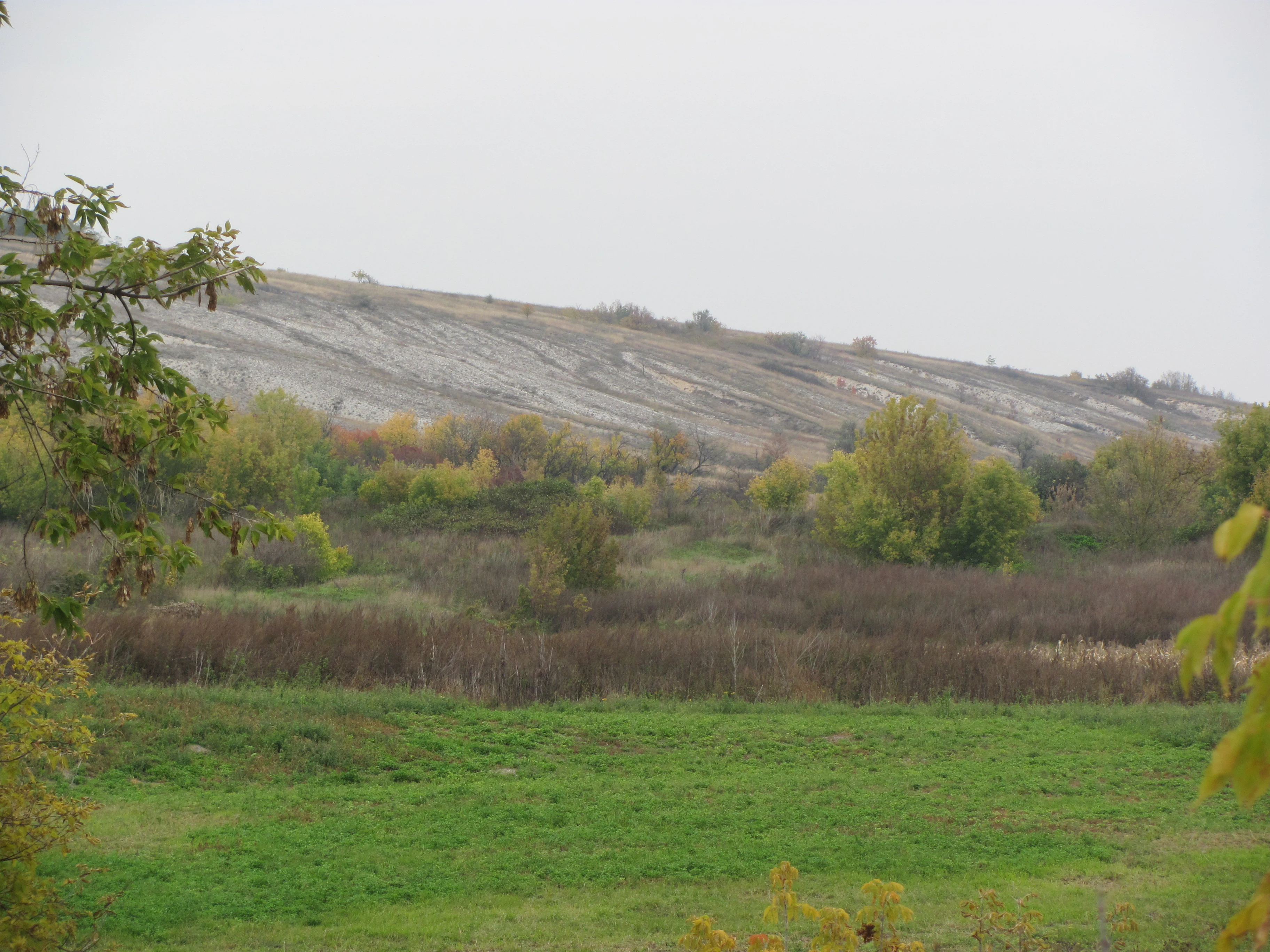 Chalk hillside with layered rock formations, green grassy field, scattered trees with autumn colors, and overcast sky