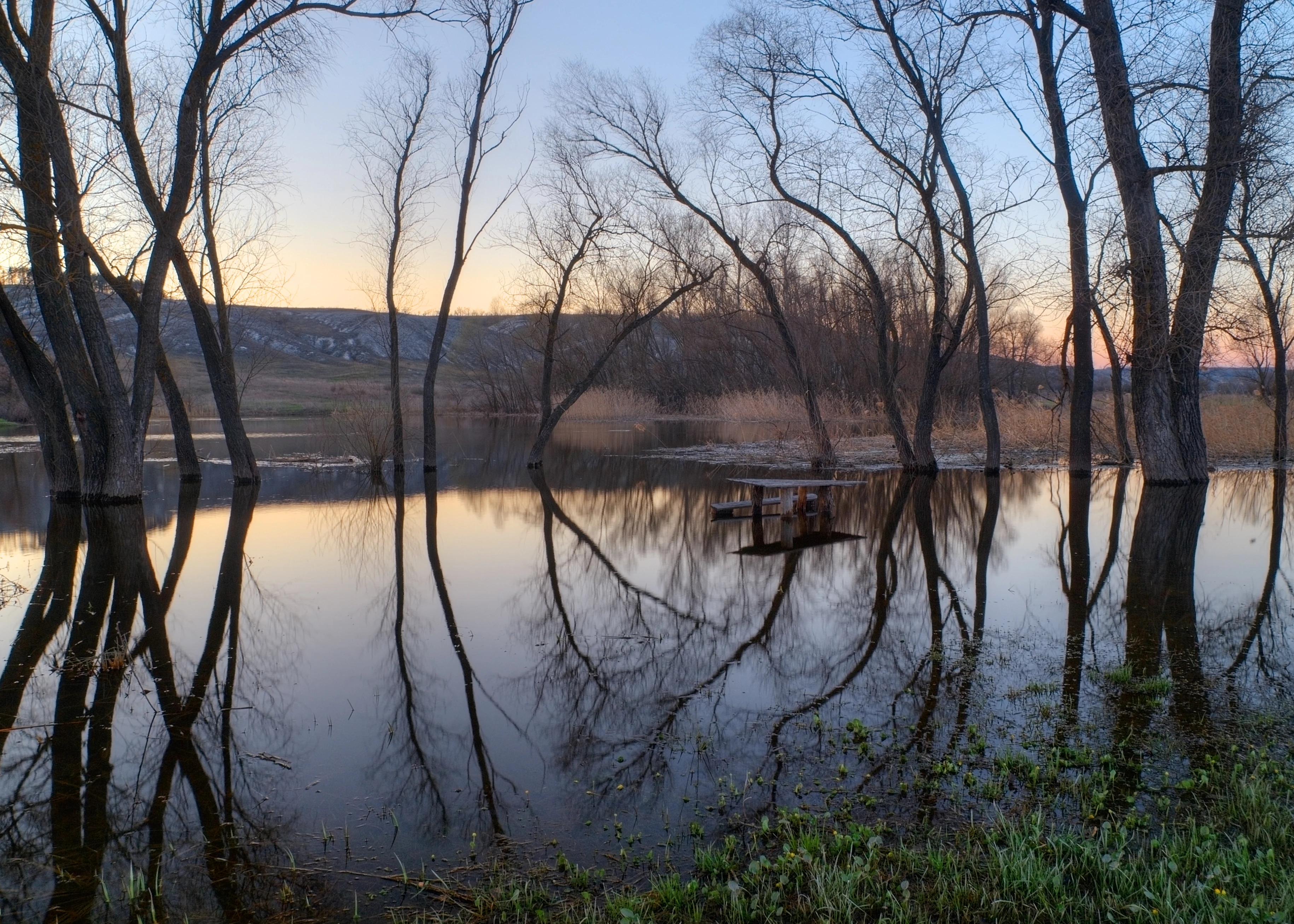 Flooded river with tree reflections in calm water and distant horizon under fading light