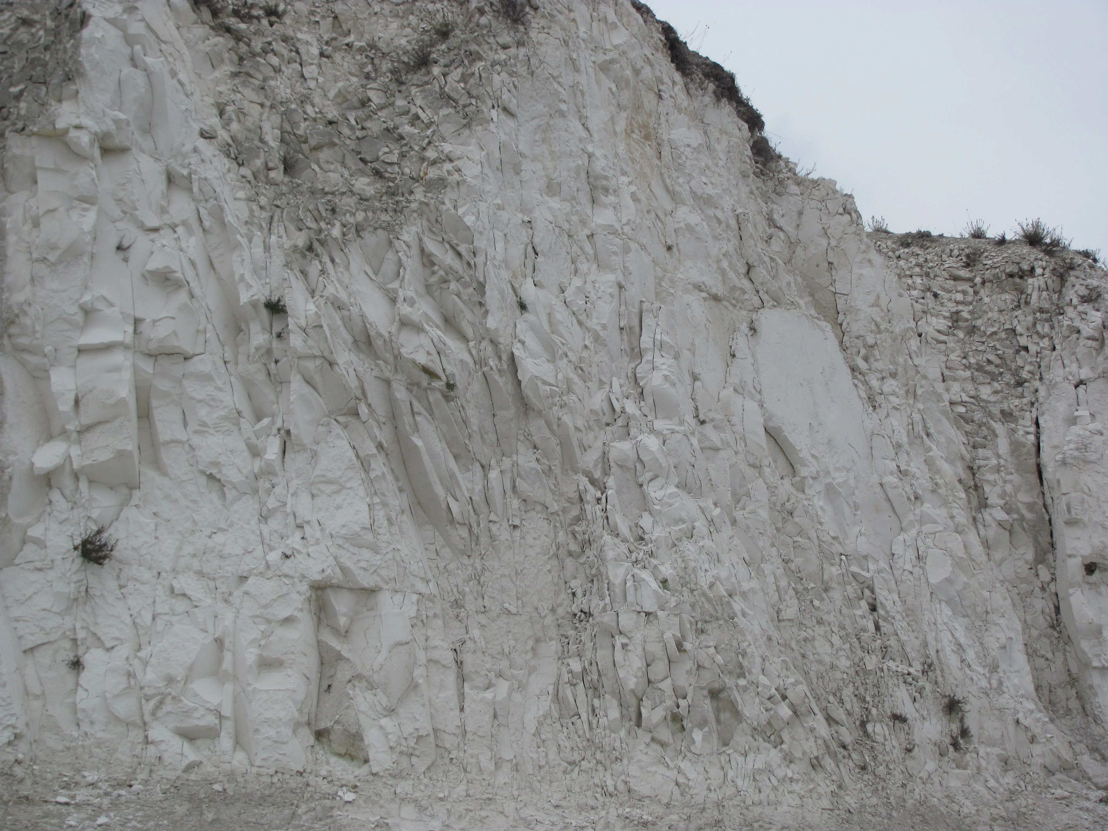 White chalk cliff with vertical rock formations and sparse vegetation at the top