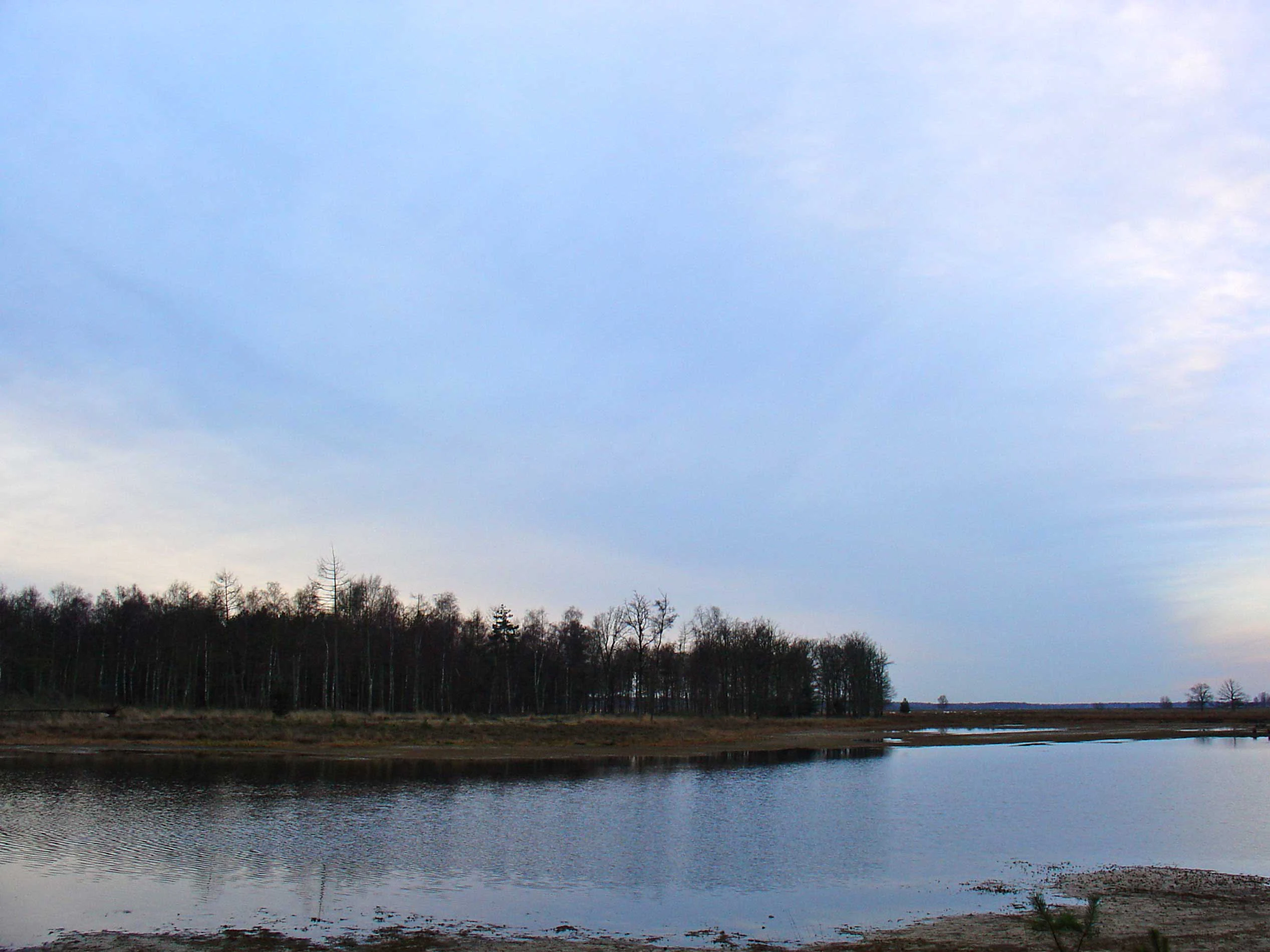 A body of water with a tree line along the opposite shore under a partly cloudy sky