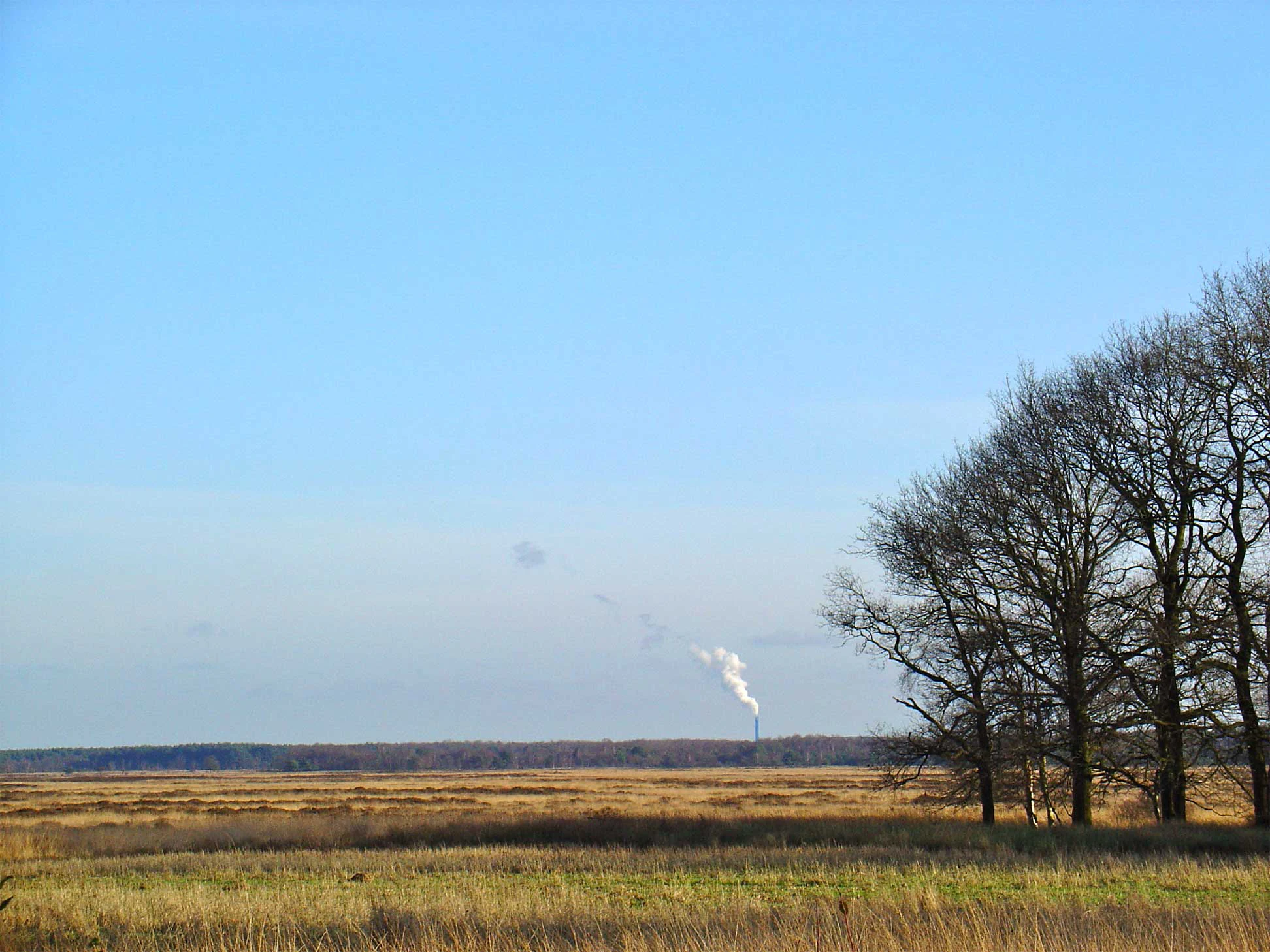 Open grassy field with a line of bare trees on the right and a distant smoke plume against a clear blue sky