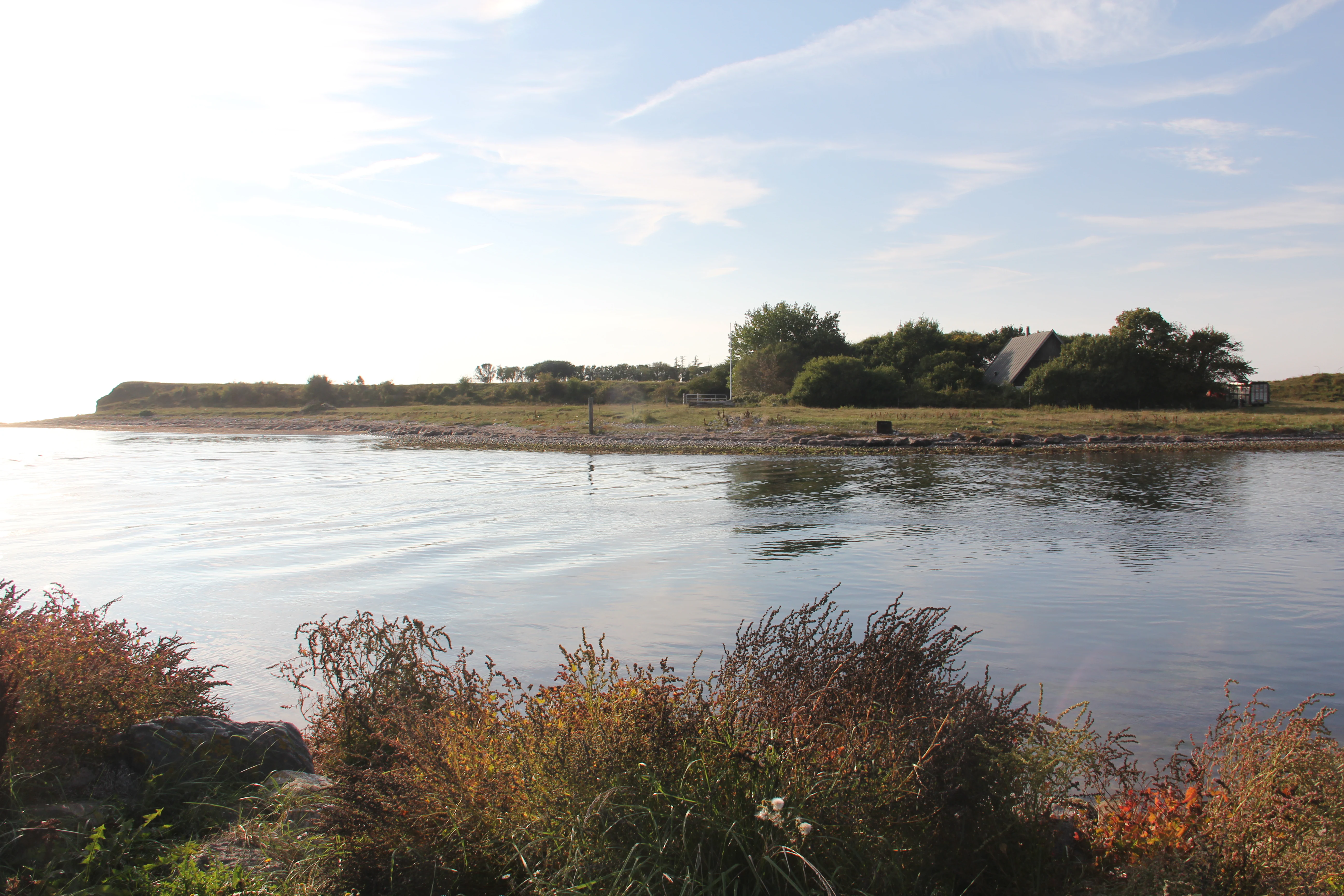 A wide shot of a low-lying coastal island with grassy terrain, shrubs, and trees, viewed across calm fjord water from a nearby shore.