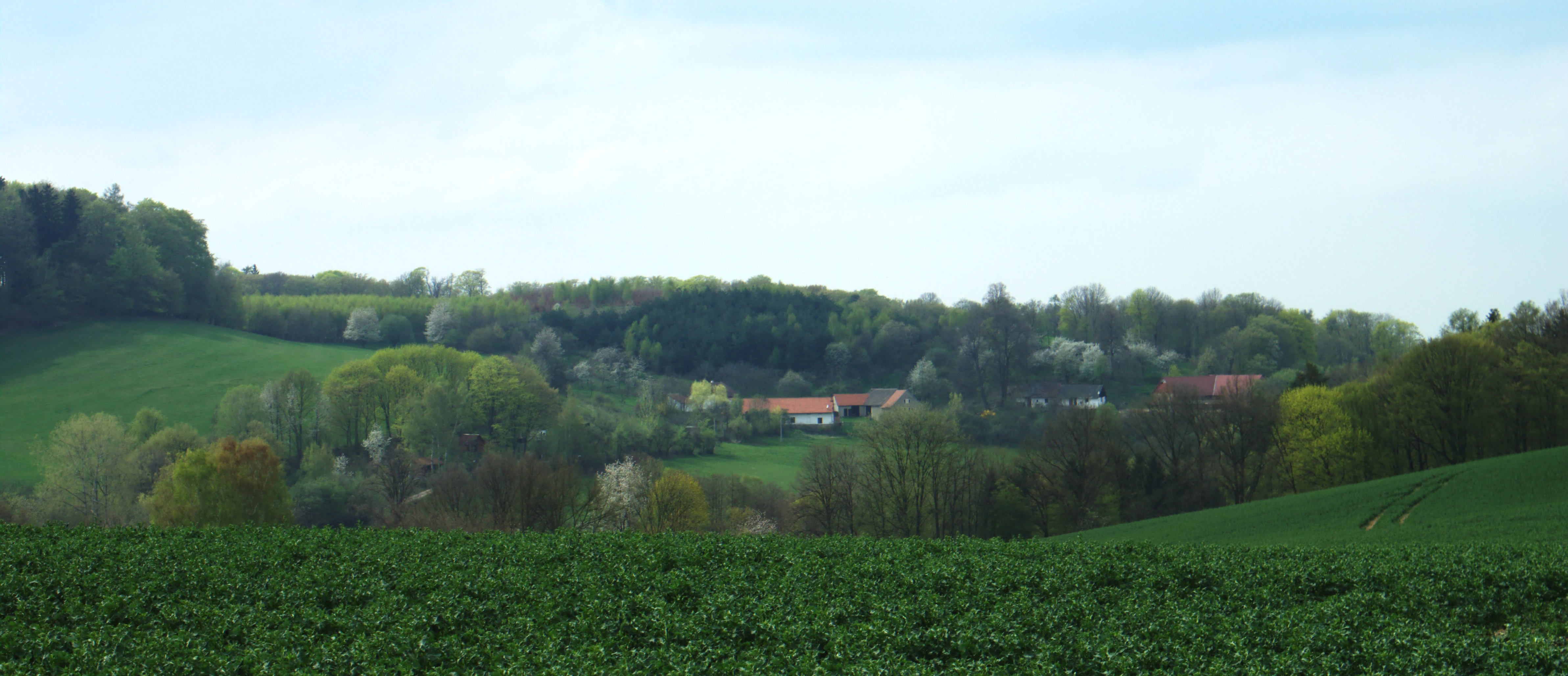 Wide shot of a rolling Czech landscape featuring green agricultural fields in the foreground, small clusters of village buildings in the middle distance, and dense forest covering the low hills in the background under a bright, overcast sky.