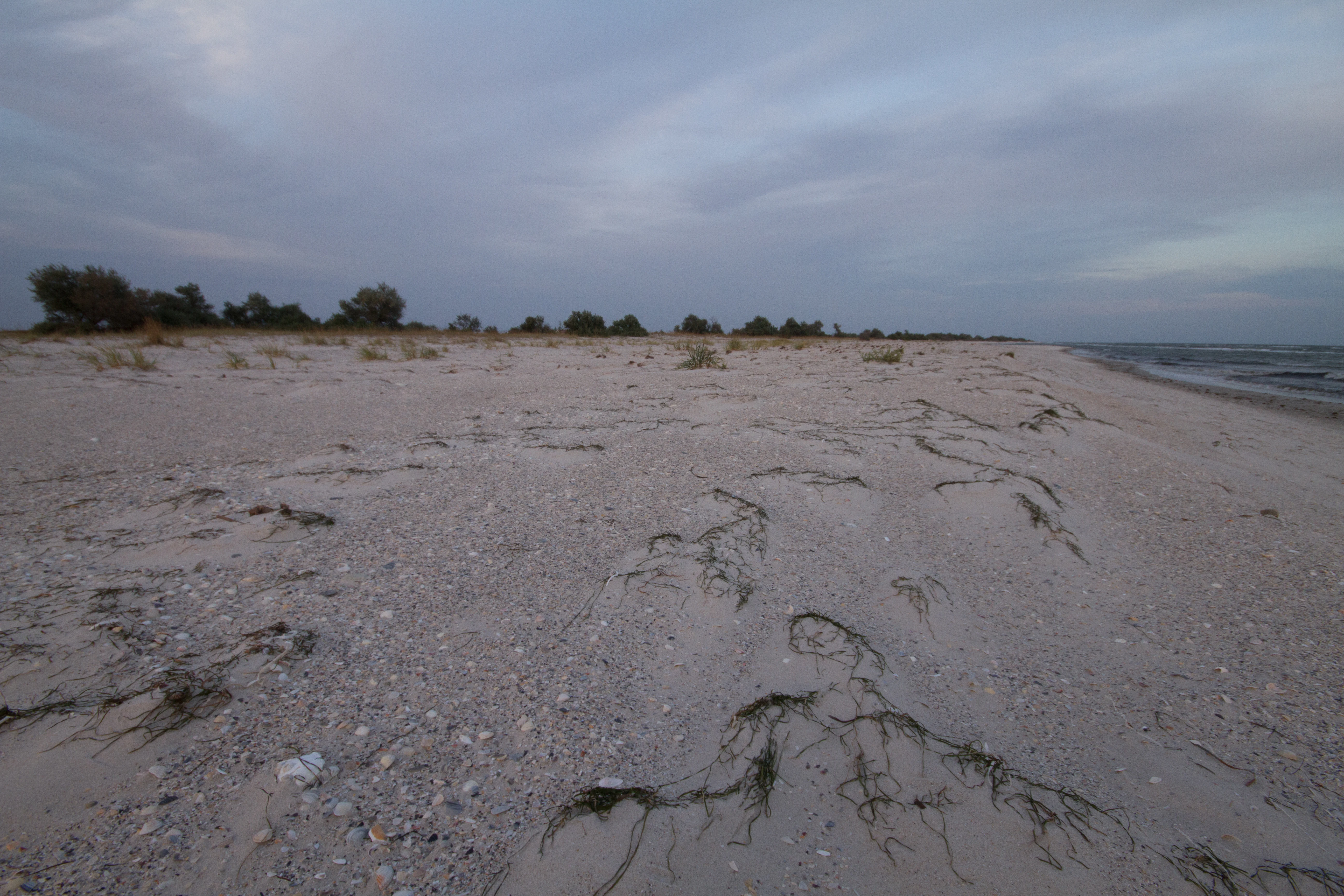 Sandy beach with patches of grass leading to the sea under cloudy sky