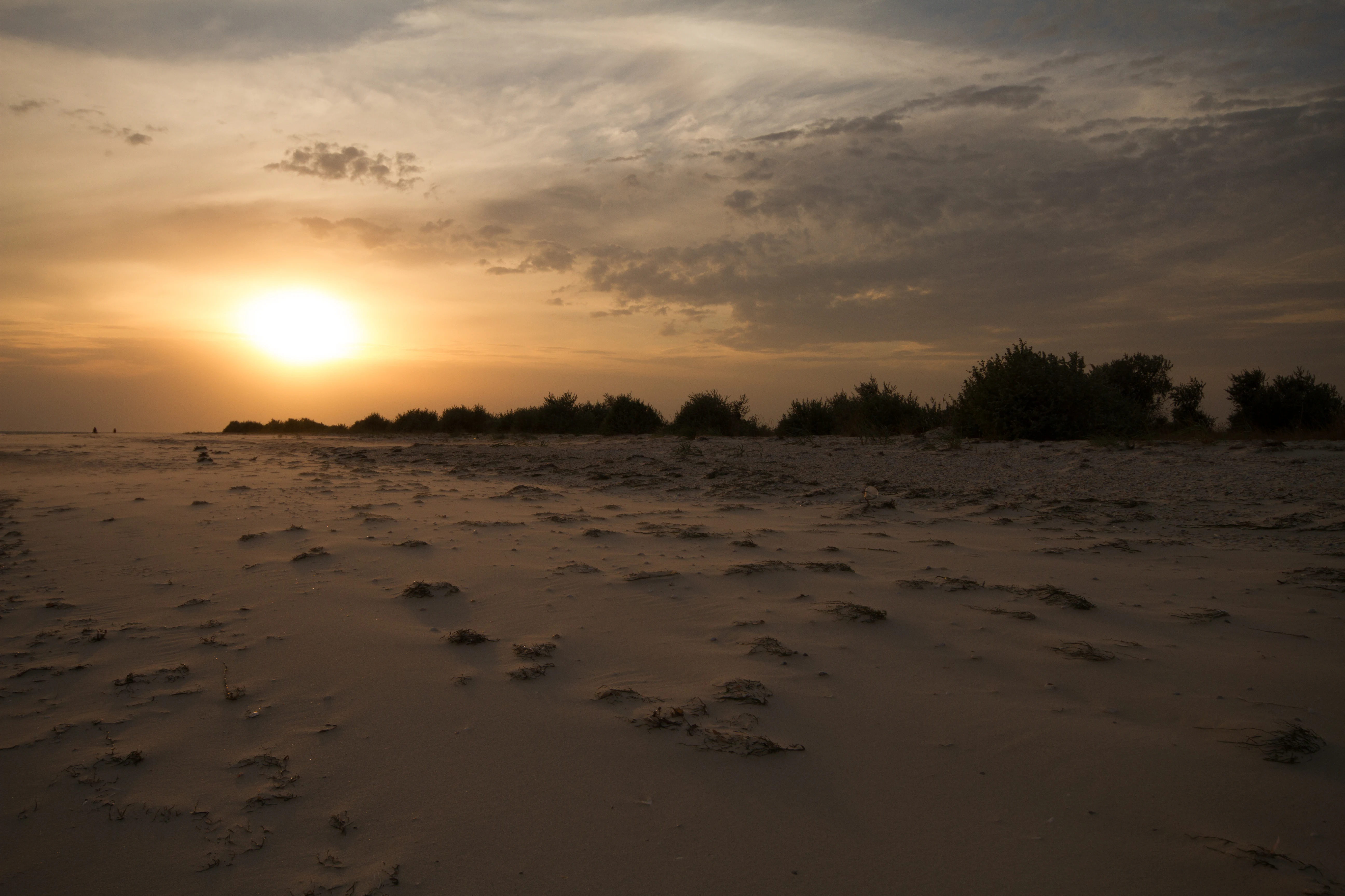 Sandy beach at sunset with scattered clouds, low sun on the horizon, and sparse vegetation in the background