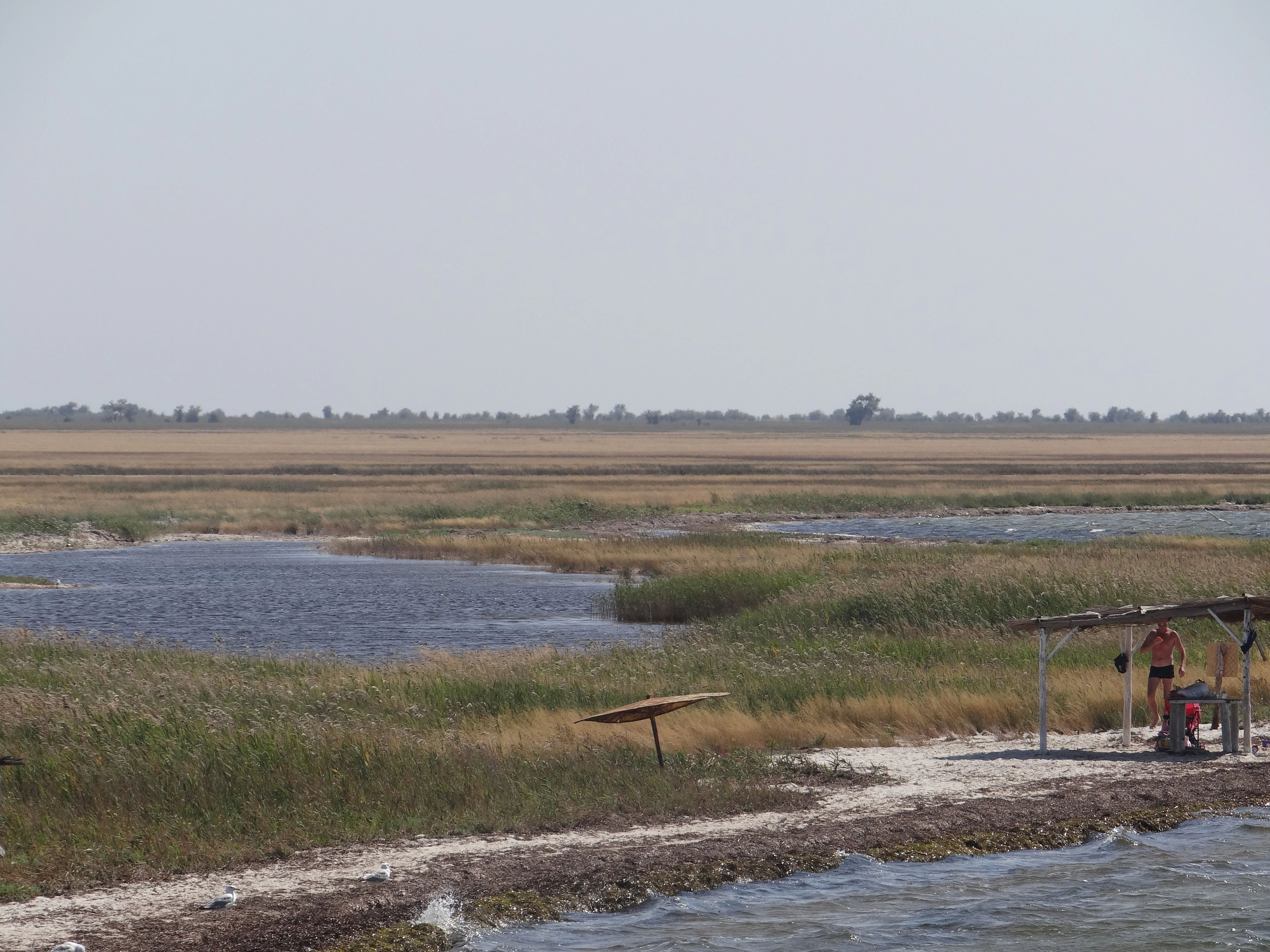 A coastal wetland scene with water channels, tall grasses, sandy shore, and a small shelter structure with people near the water