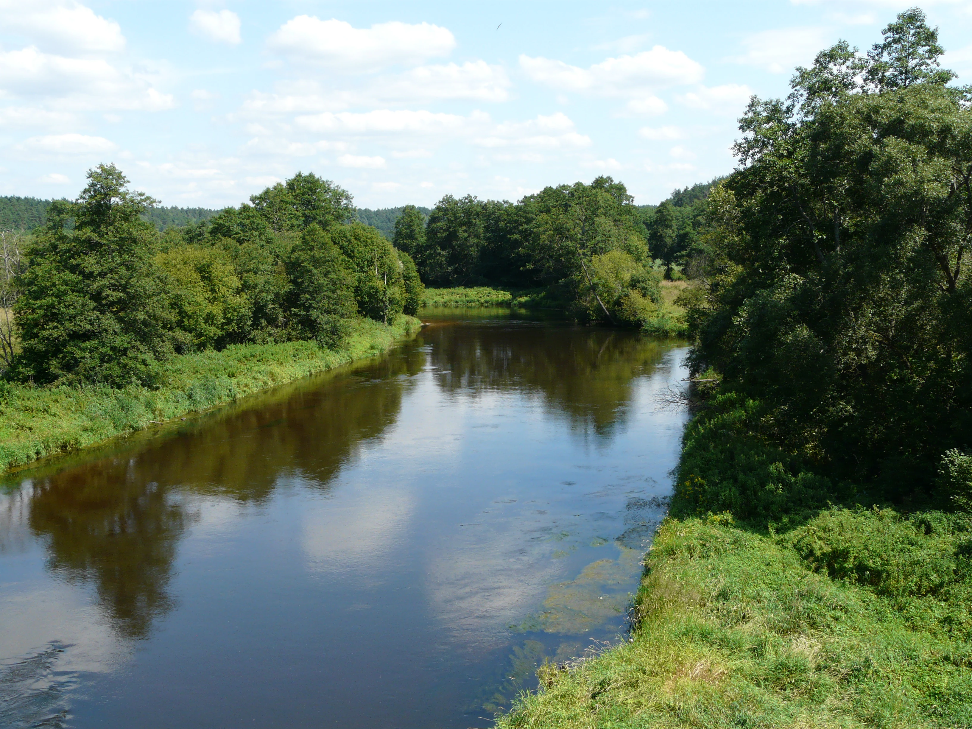 River with reflections of clouds and trees surrounded by dense green forest under a partly cloudy sky.