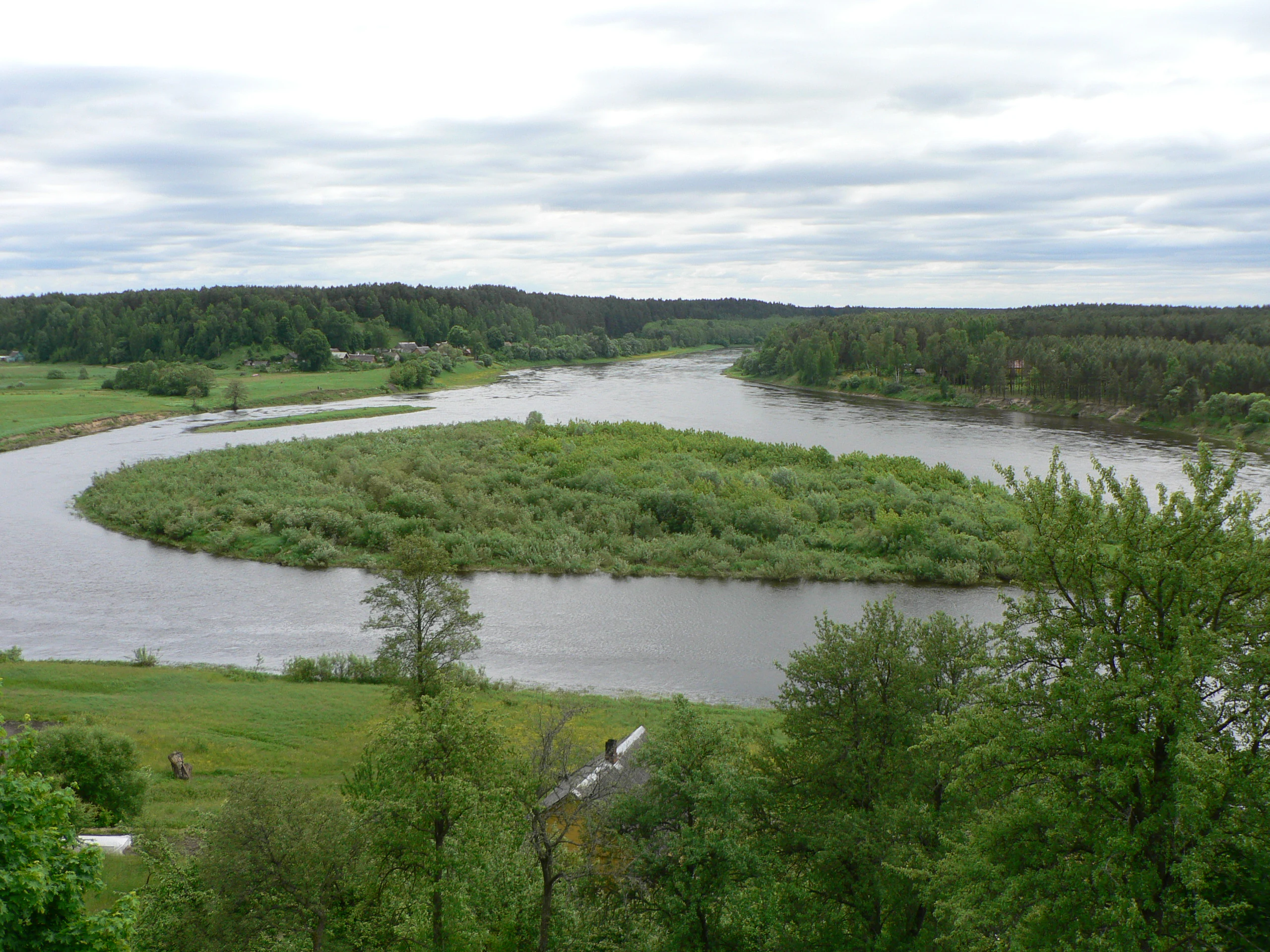 Wide landscape view of a winding river with lush vegetation and trees, showing a bend in the water with a grassy island and distant forested horizon