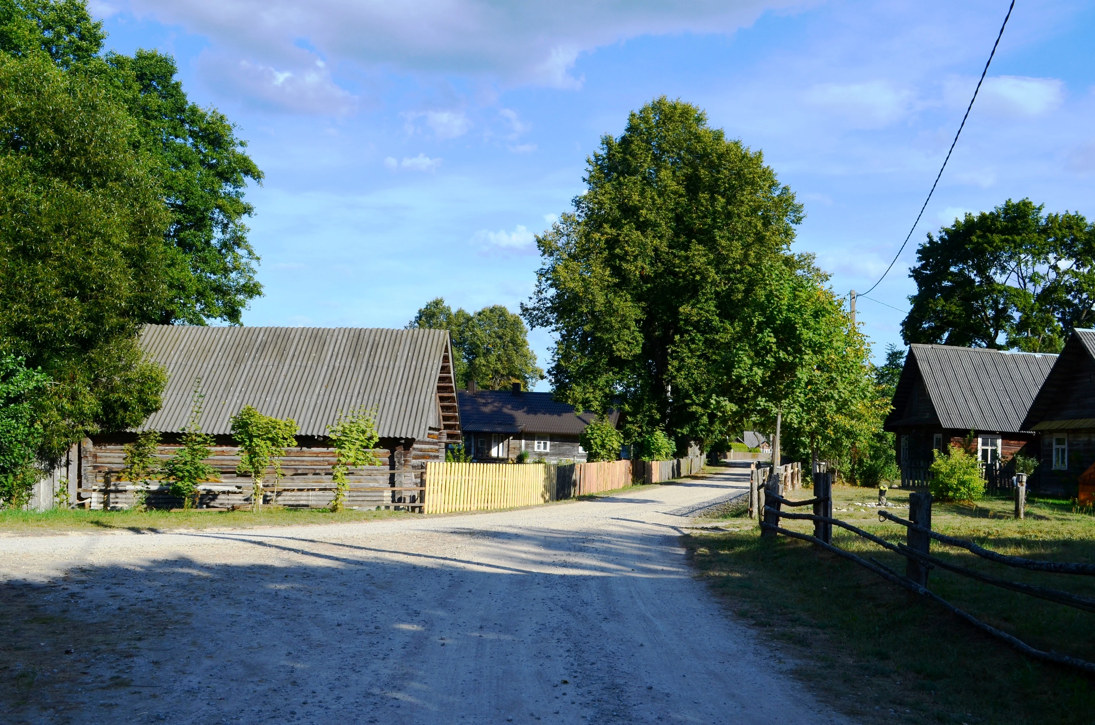Dirt road leading through a village with traditional wooden houses, fences, and large trees under a partly cloudy sky