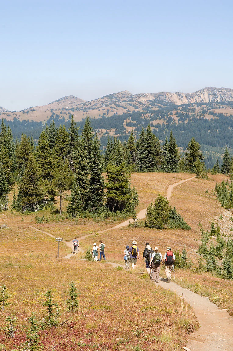 Hiking into the alpine meadow