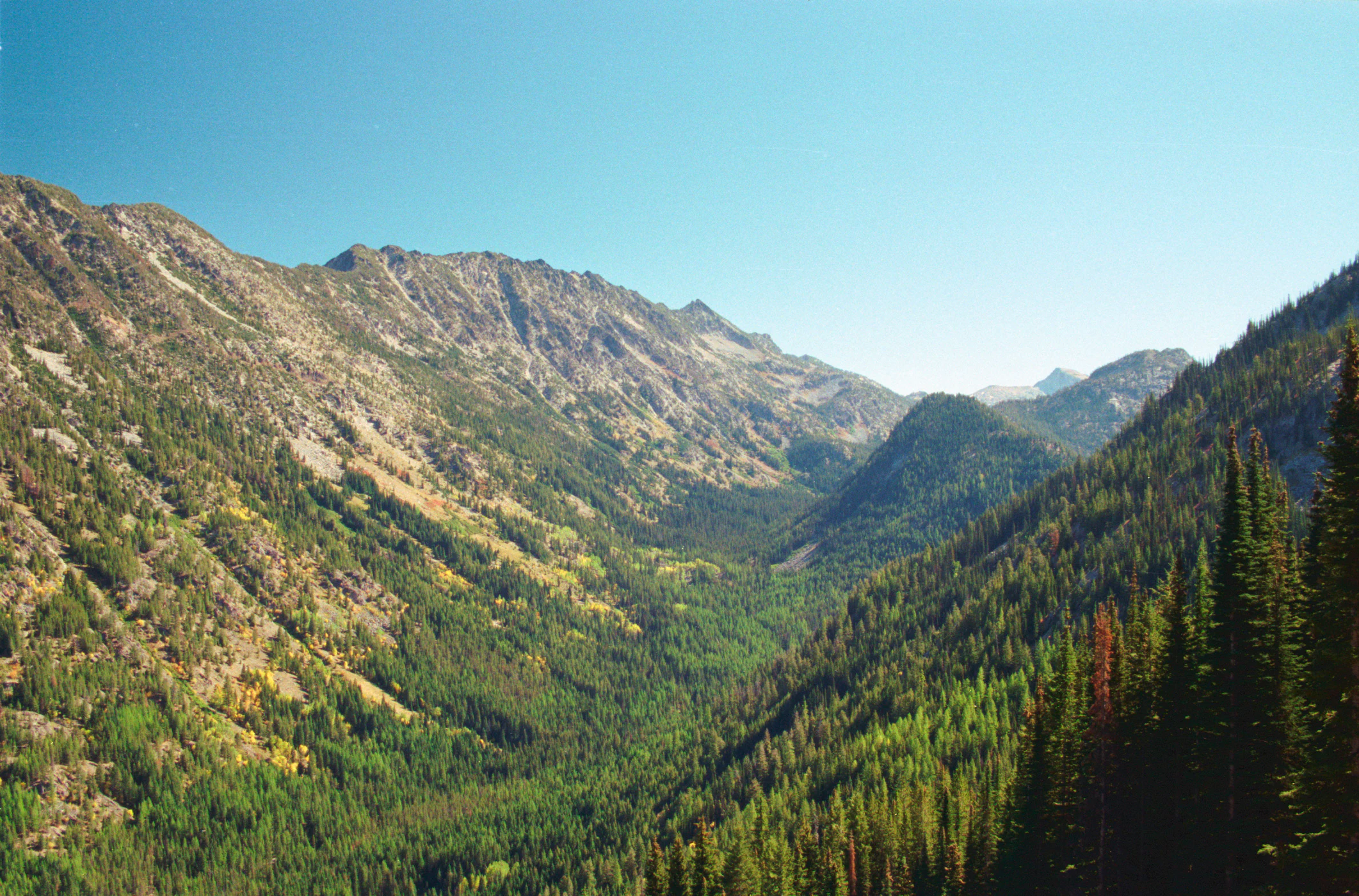 A wide-angle mountain landscape view of a lush, deep river valley surrounded by steep, pine-covered slopes and rocky ridgelines under a clear blue sky.