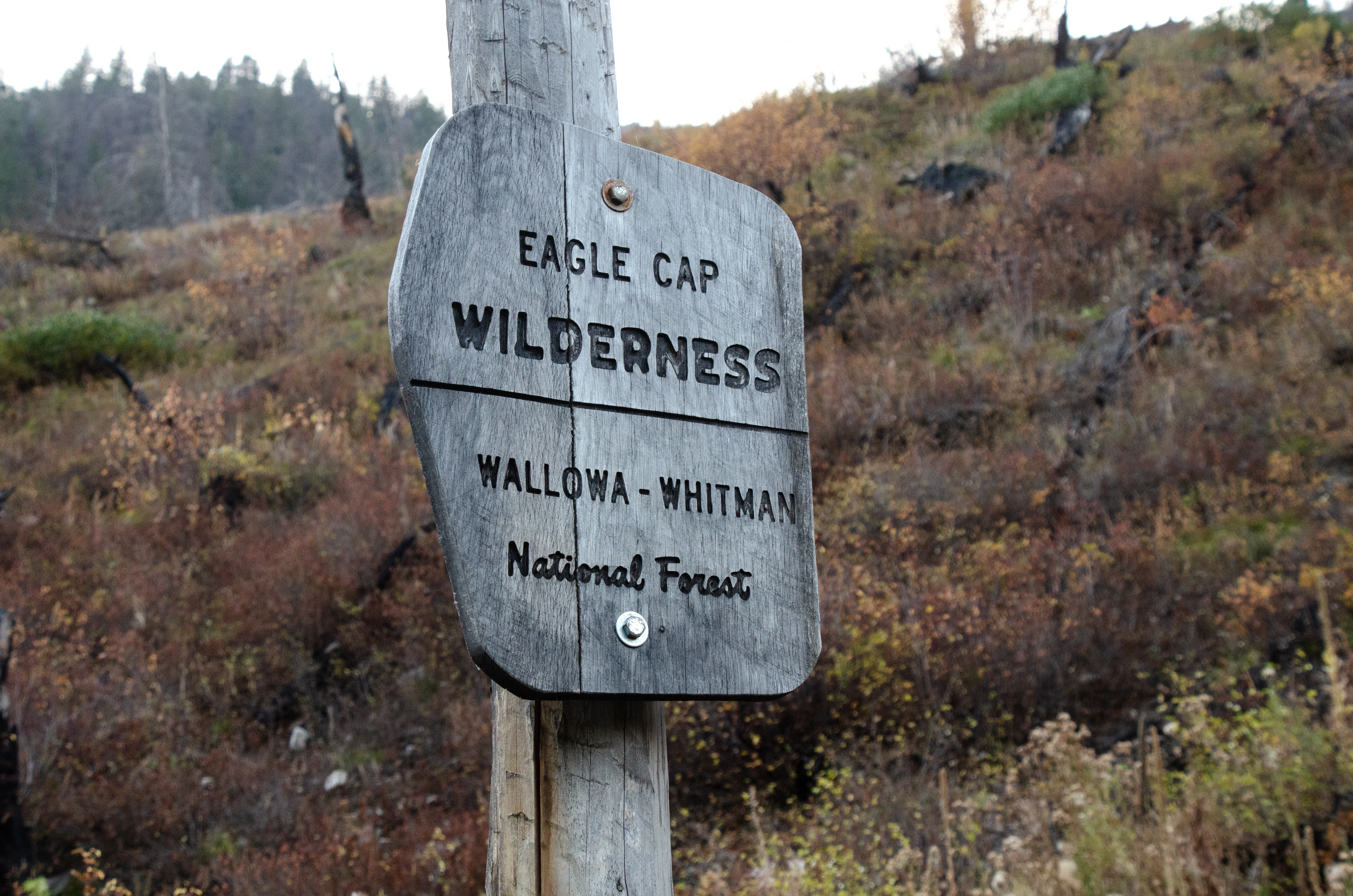 A weathered wooden sign mounted on a post, displaying the text Eagle Cap Wilderness above Wallowa Whitman National Forest, set against a background of scrubby, brush-covered mountain slopes.