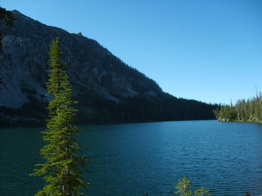A wide, calm, deep blue mountain lake nestled against a steep, craggy granite mountainside, framed by evergreen trees under a clear blue sky.