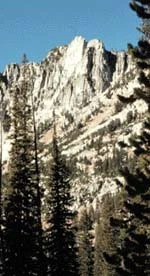A steep, rugged granite mountain peak framed by coniferous trees against a clear blue sky.