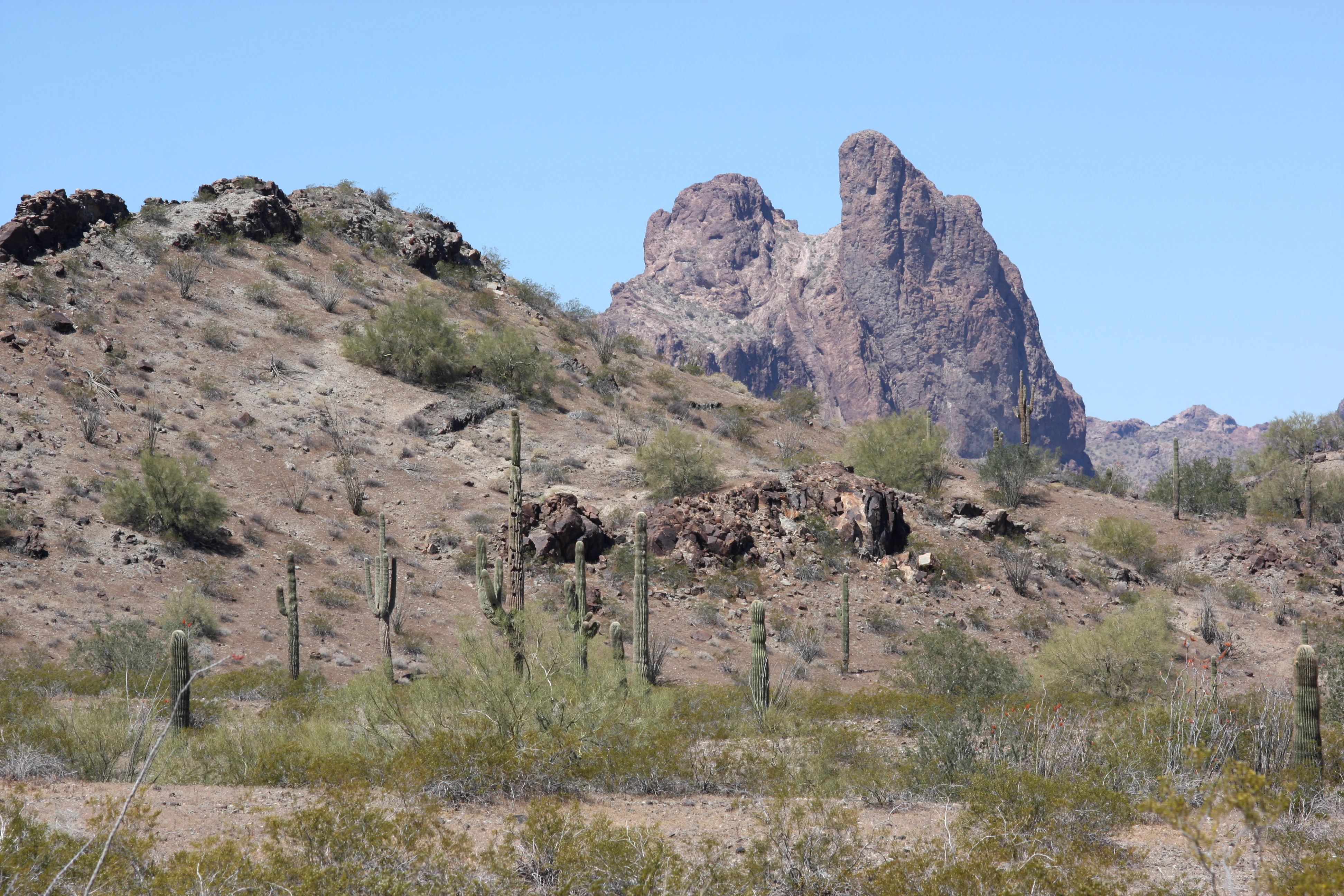 A desert landscape in the Eagletail Mountains featuring the prominent Courthouse Rock formation surrounded by saguaro cacti and arid vegetation.
