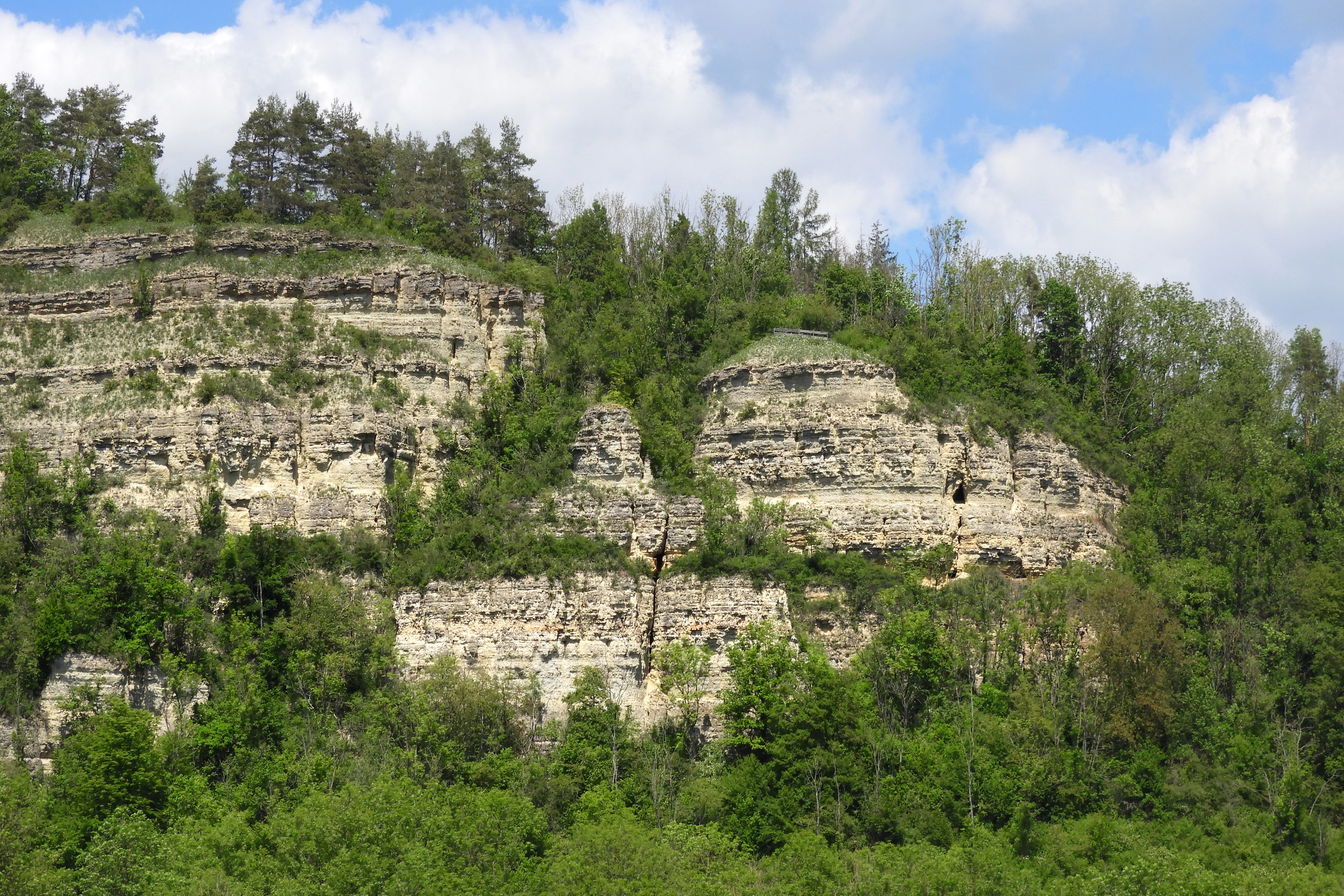 A steep, layered limestone cliff face rising above a lush green forest, showing distinct horizontal rock strata and sparse vegetation clinging to the cliffside under a partially cloudy blue sky.