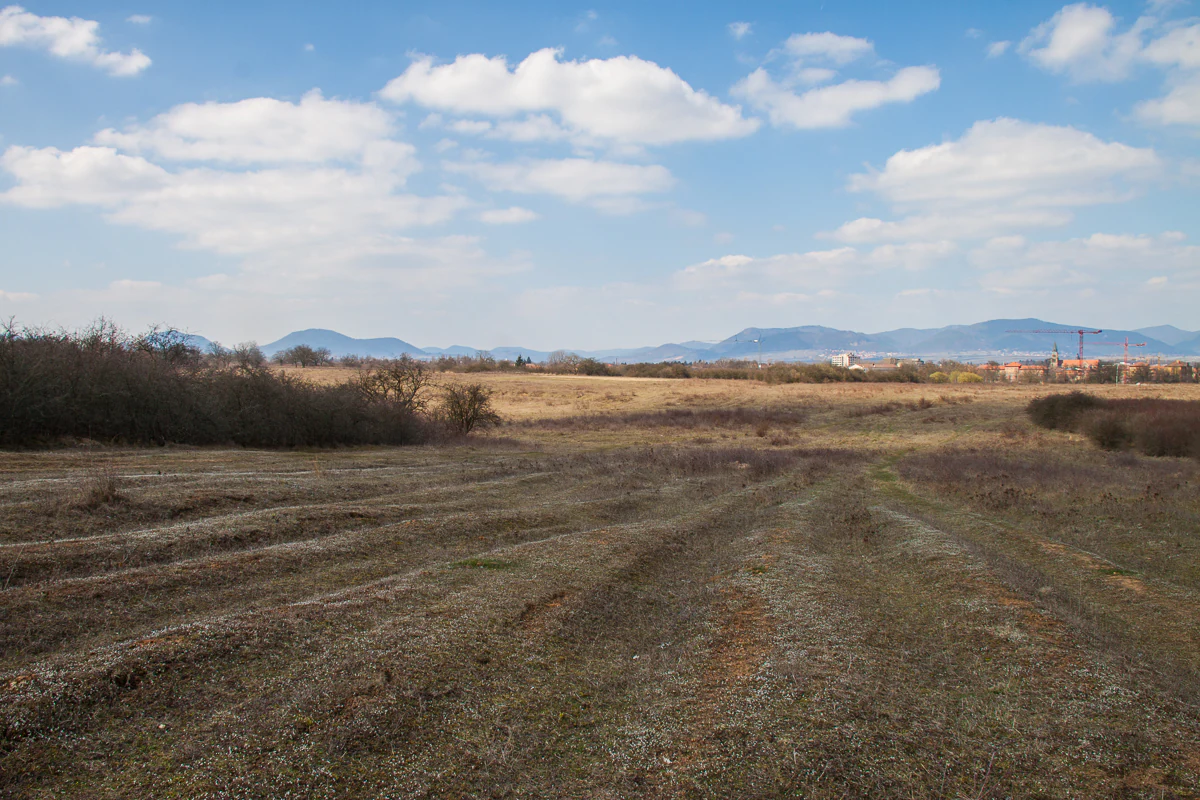 A wide, eye-level landscape shot of a dry, brownish field under a bright, partly cloudy sky, with distant hills visible on the horizon.