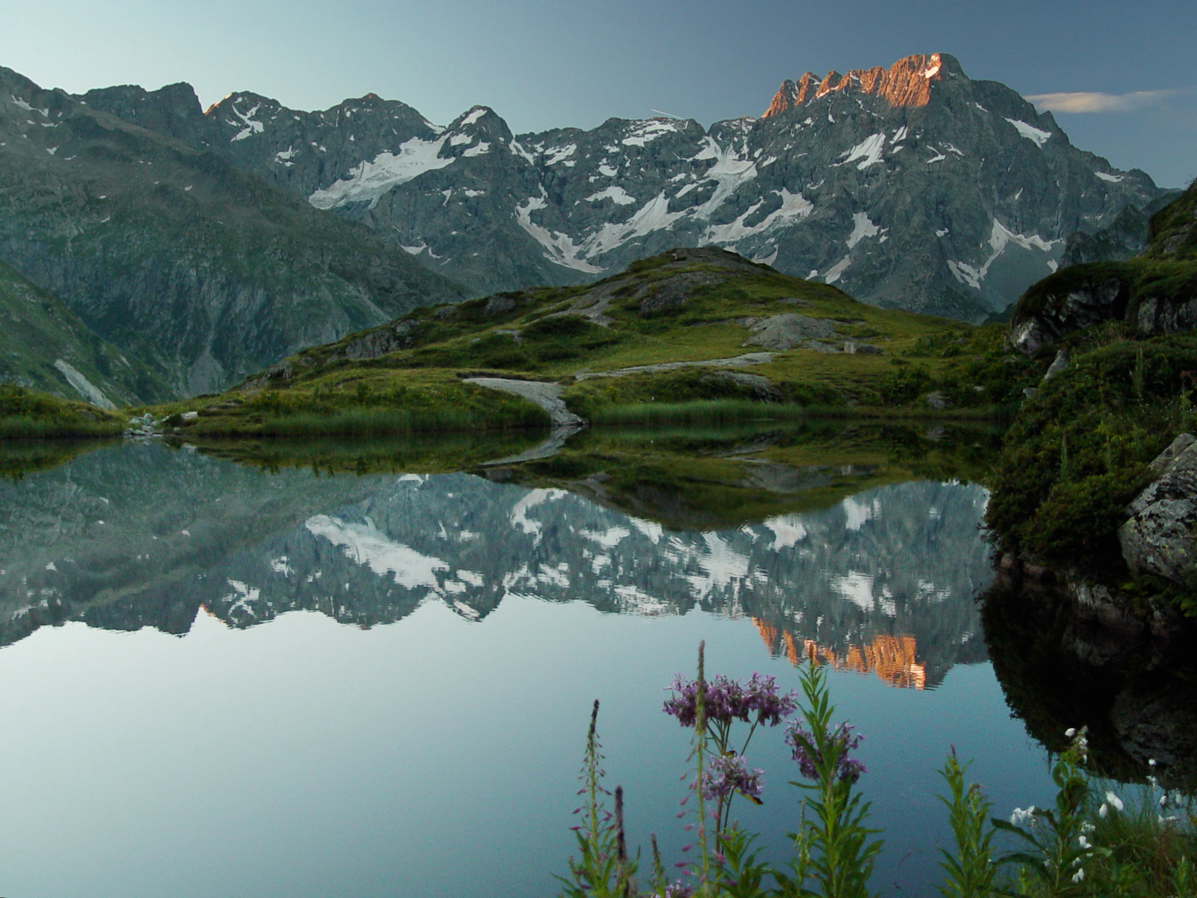A calm lake reflecting snow-capped mountains and green hills with purple wildflowers in the foreground