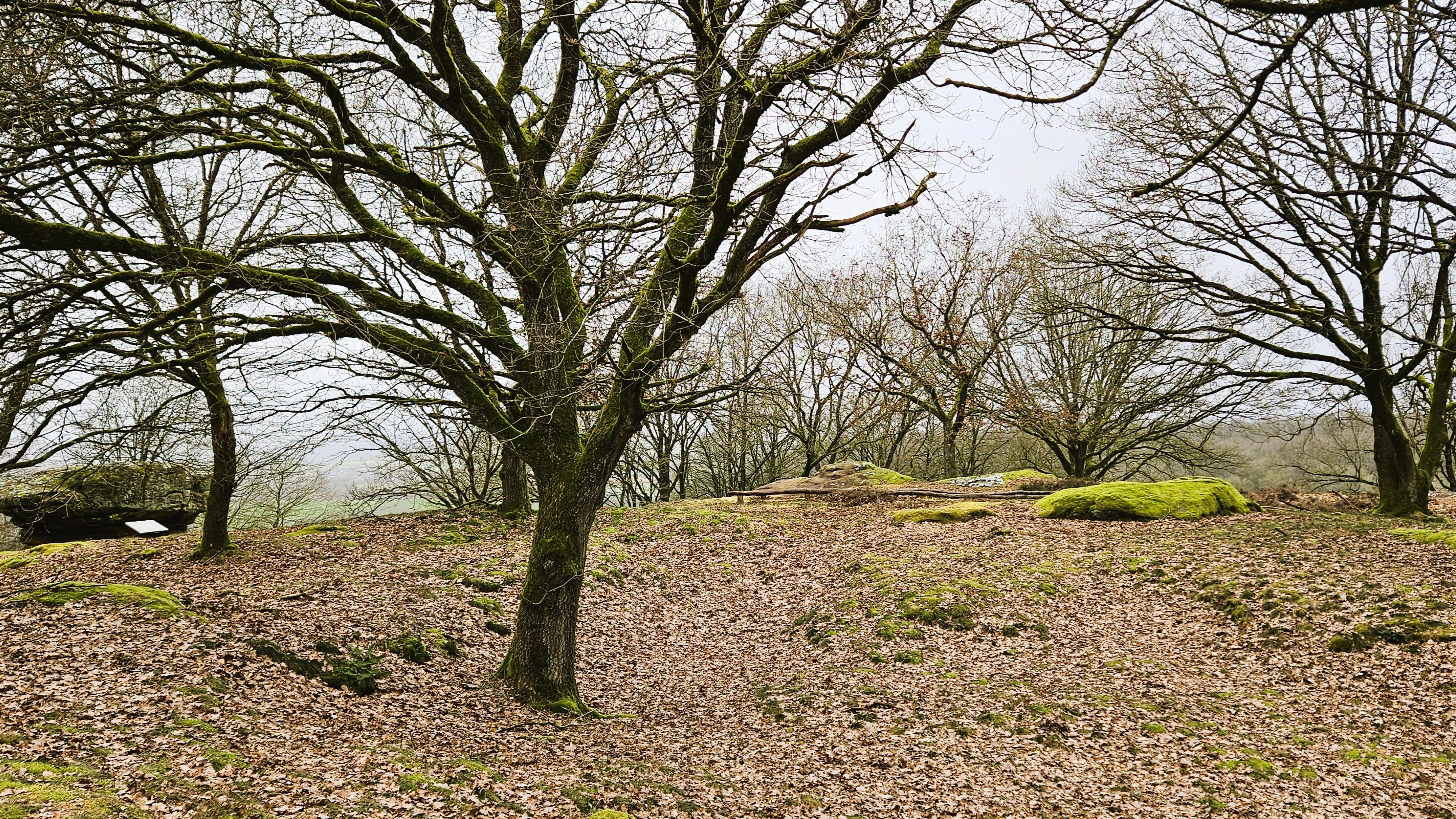 Eechelbuer-Lock landscape