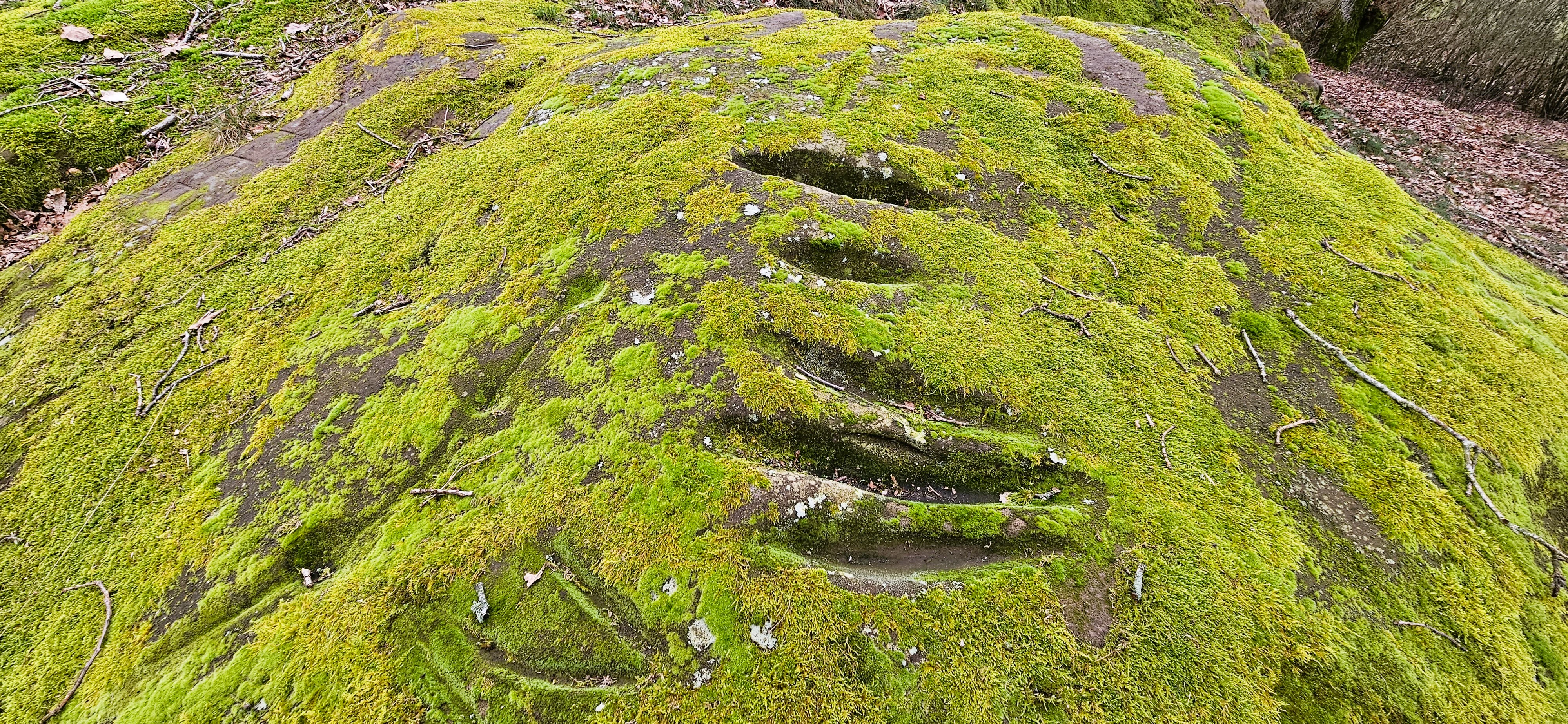 Eechelbuer-Lock nature reserve