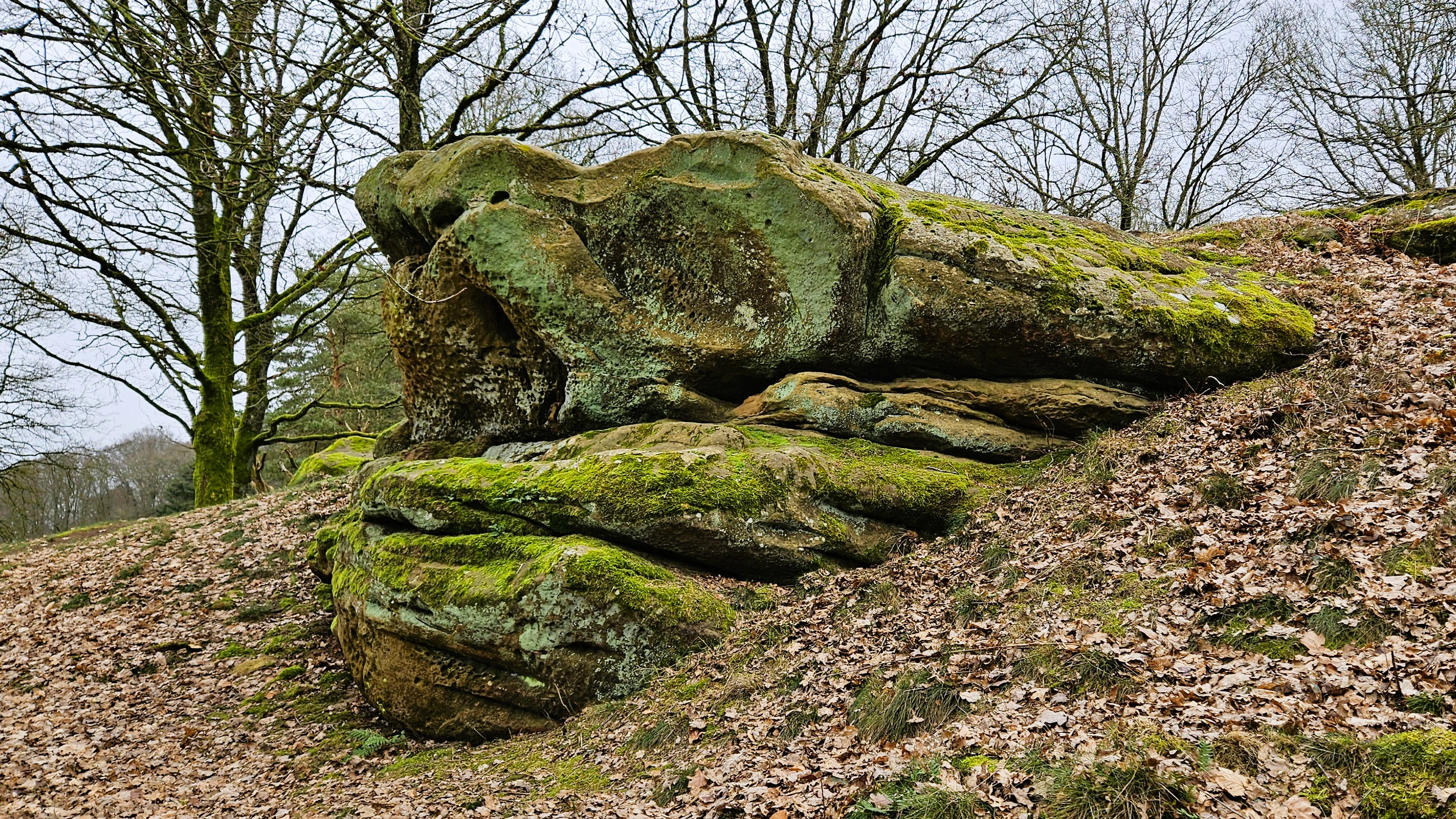 Eechelbuer-Lock Nature Reserve
