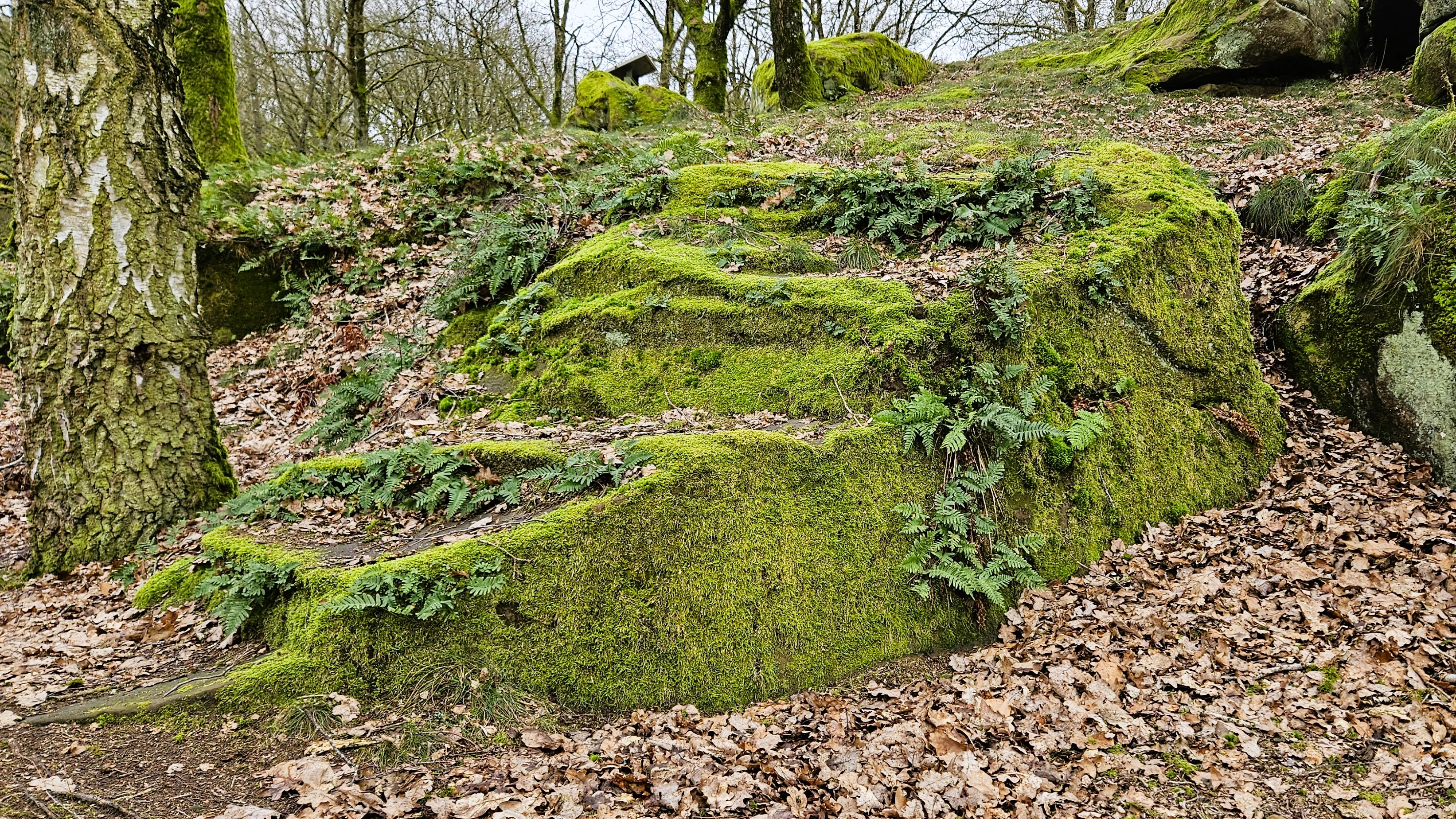 Eechelbuer-Lock nature reserve