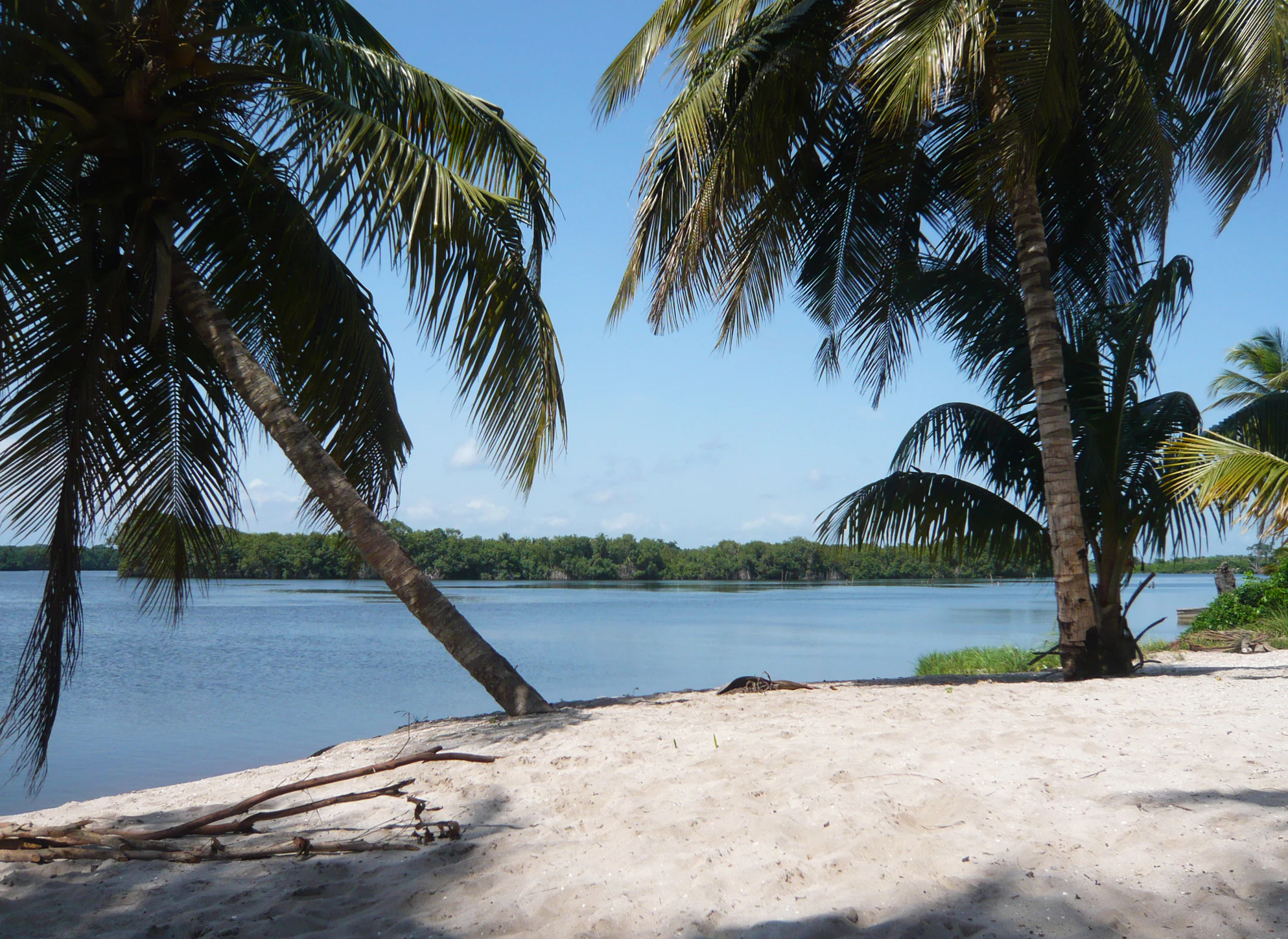 A sandy shoreline with palm trees in the foreground, overlooking the calm waters of a lagoon with a distant forested island.