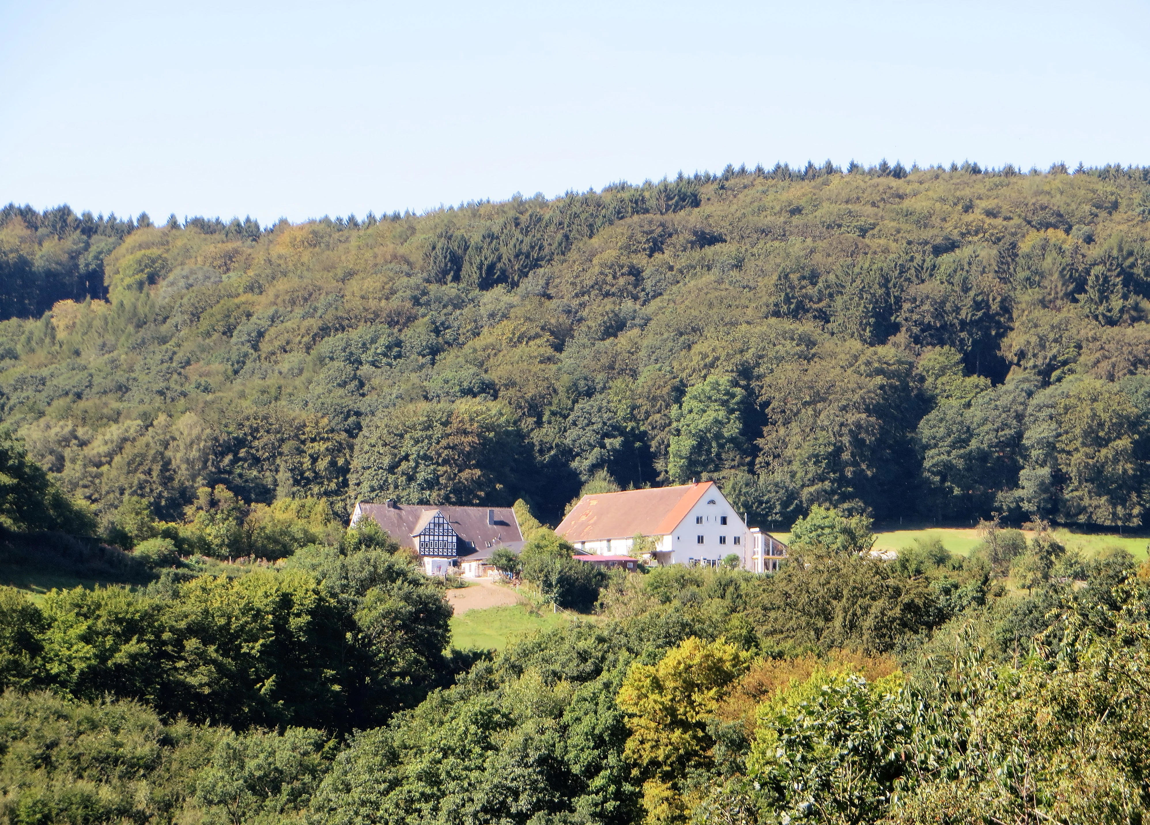 A white farmstead with red roofs set against a backdrop of dense, rolling deciduous forest.