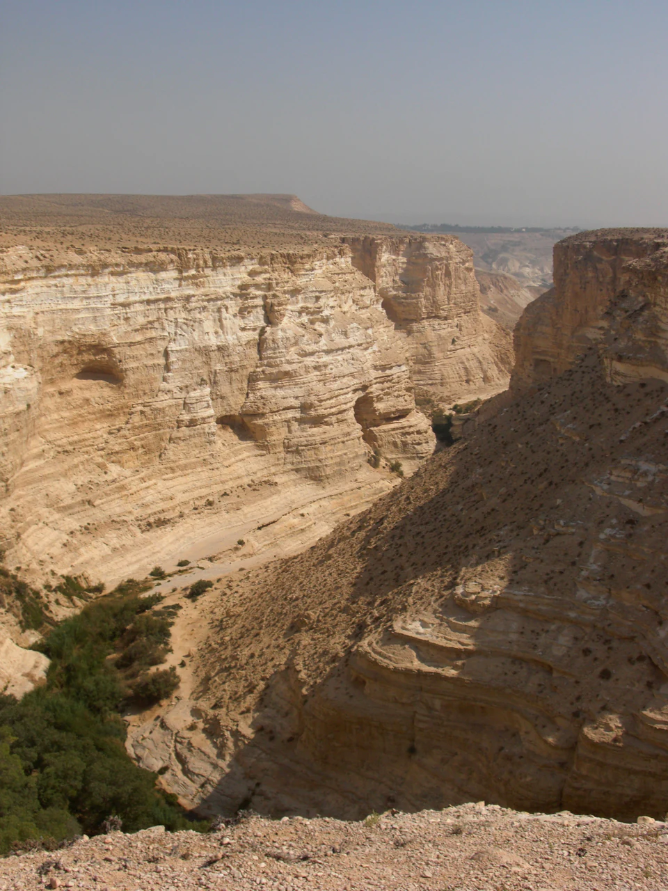 Rocky canyon with layered cliffs and sparse vegetation under clear sky.