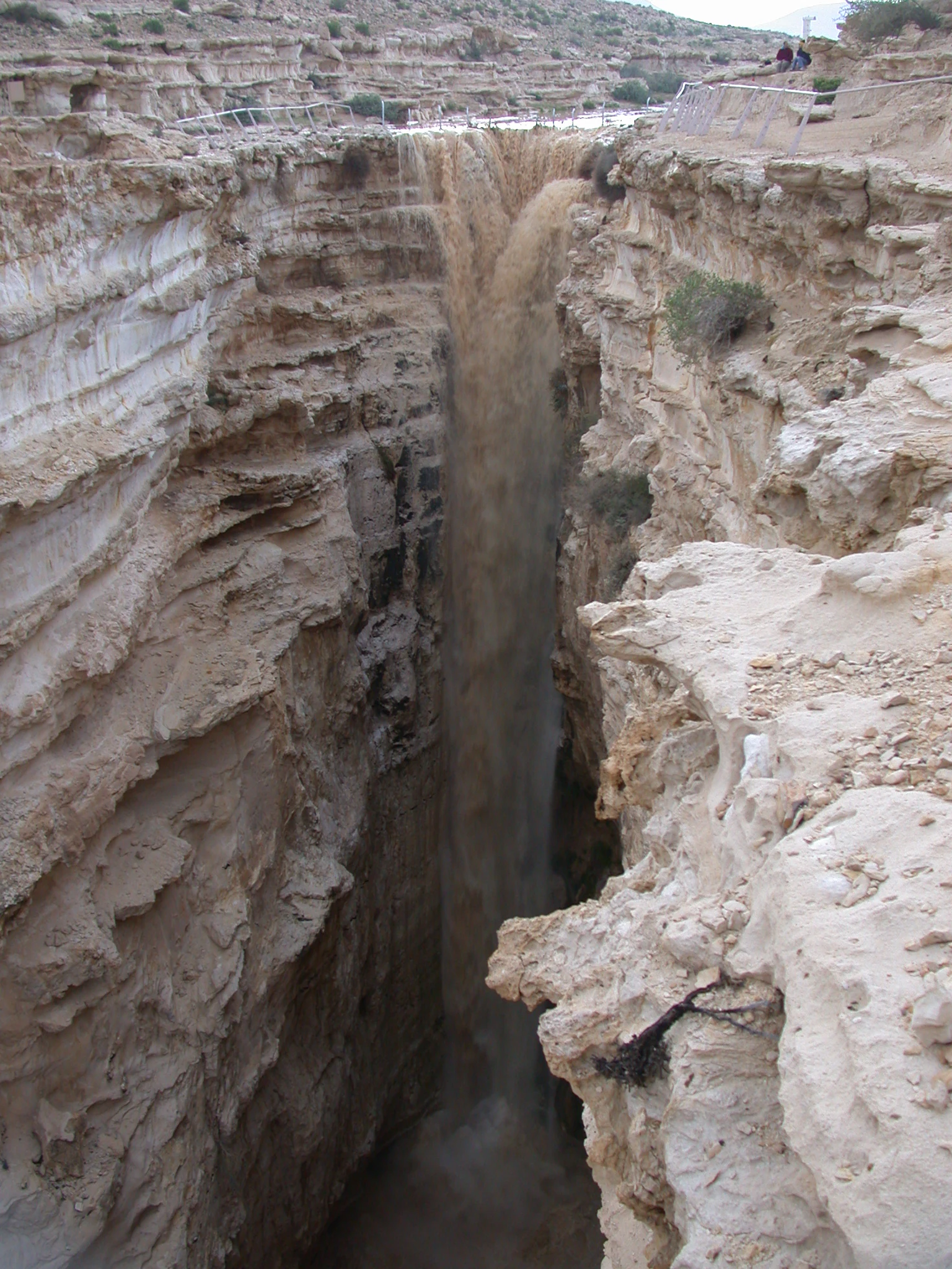 Agua turbia fluyendo a través de un profundo cañón con paredes rocosas en Ein Avdat, Israel