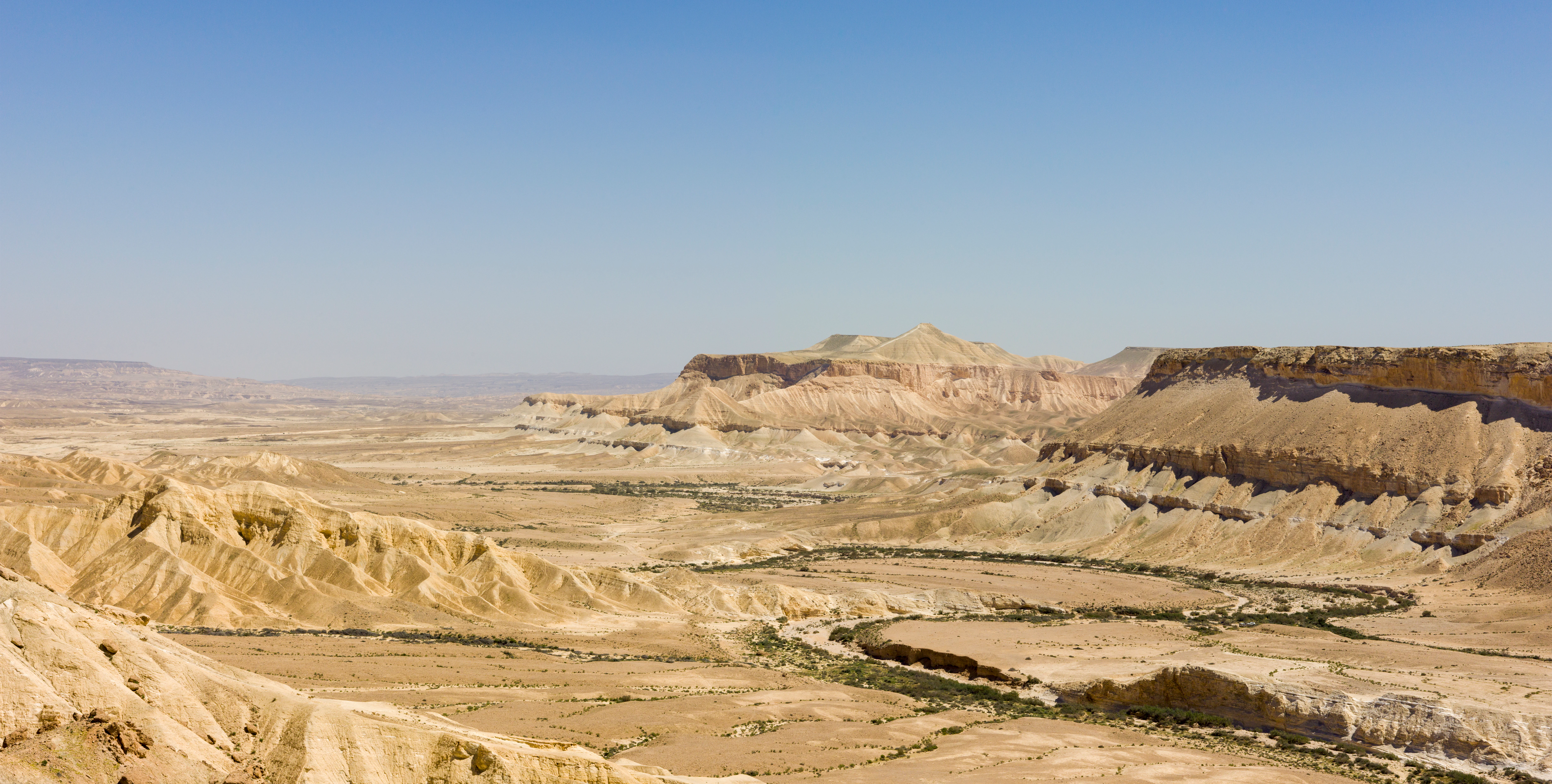 Wide view of Ein Avdat canyon with rocky terrain, desert valleys, and distant mountains under a clear blue sky