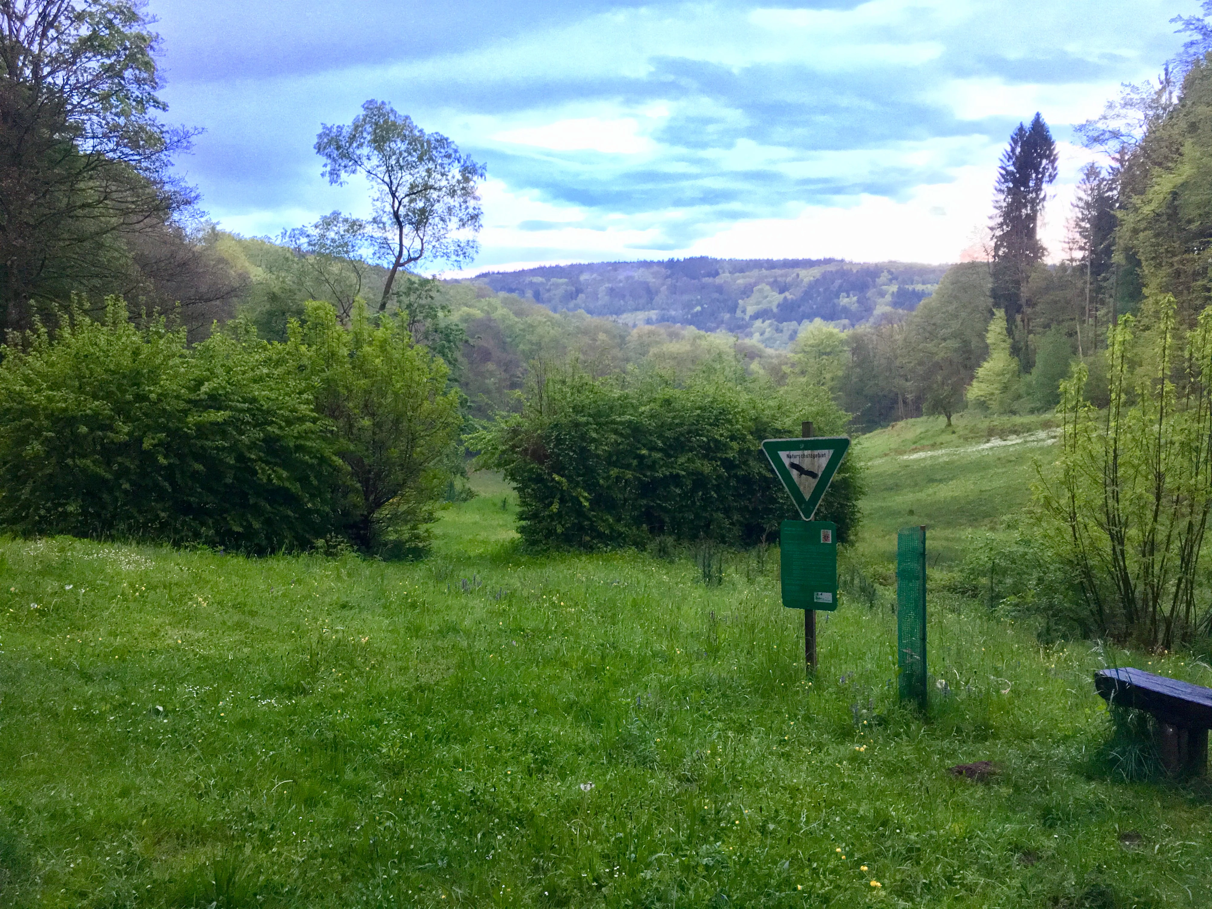 A green valley scene featuring a grassy meadow in the foreground, dense bushes and forest in the midground, and hills under a cloudy sky. A nature reserve sign is visible on a post near the edge of the meadow.