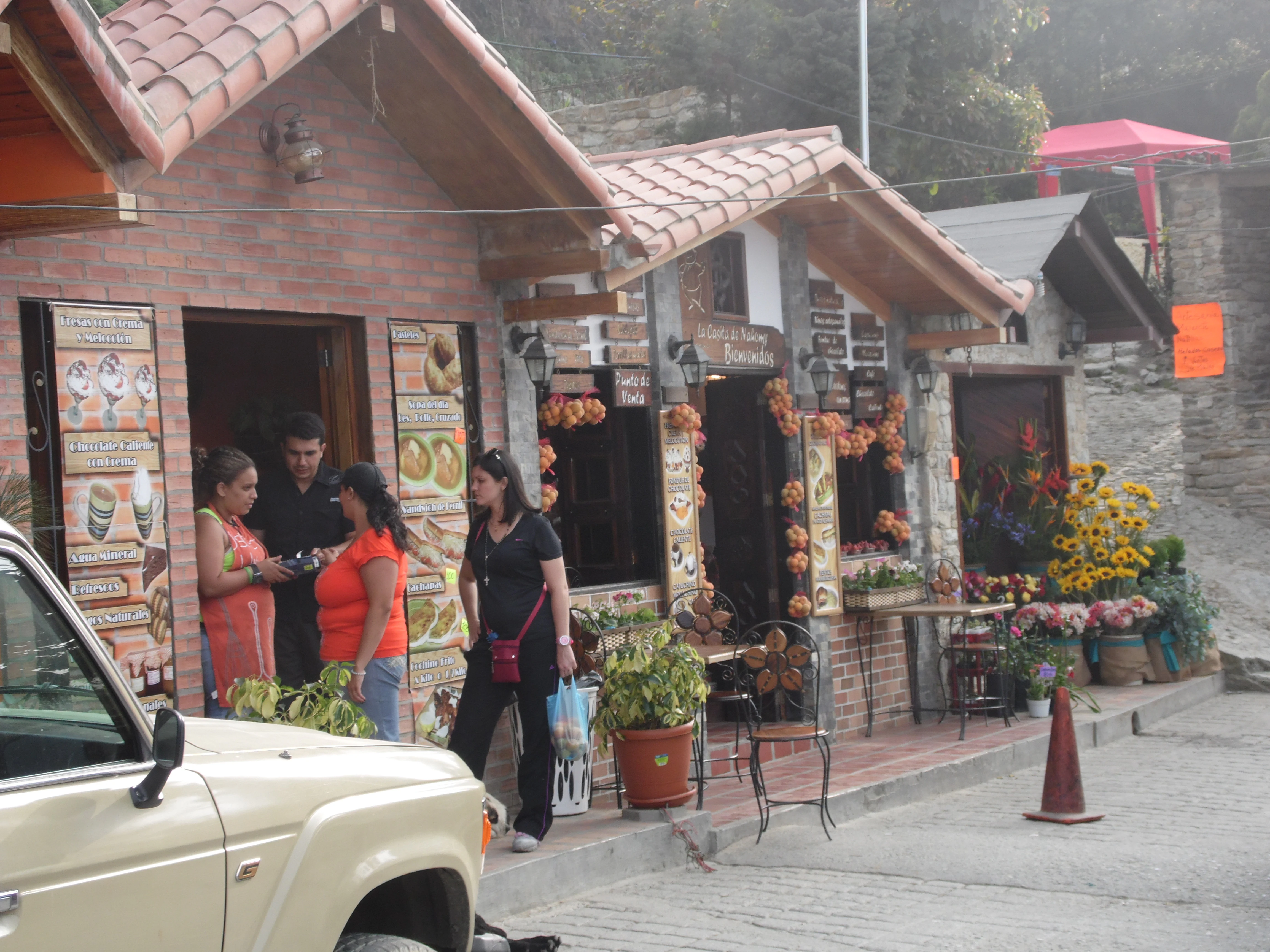 Town street with brick buildings, people standing outside shops, a vehicle, and flower decorations