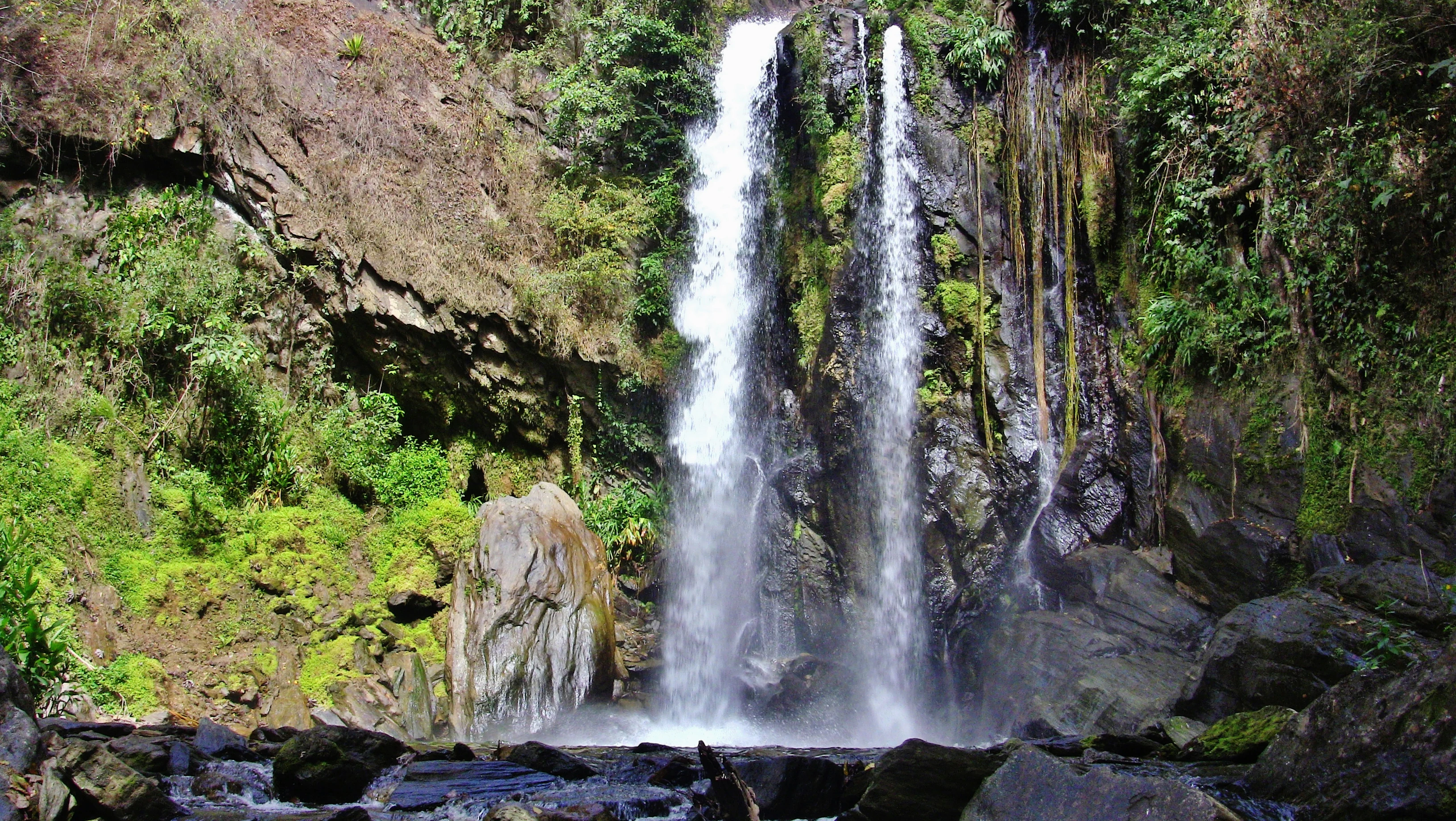 Tall dual waterfall flowing over rocky cliffs with dense green foliage on both sides