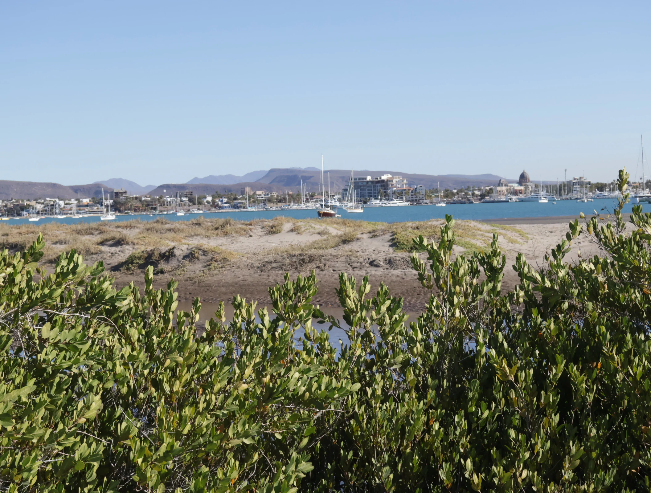 View of La Paz from El Mogote Mangrove