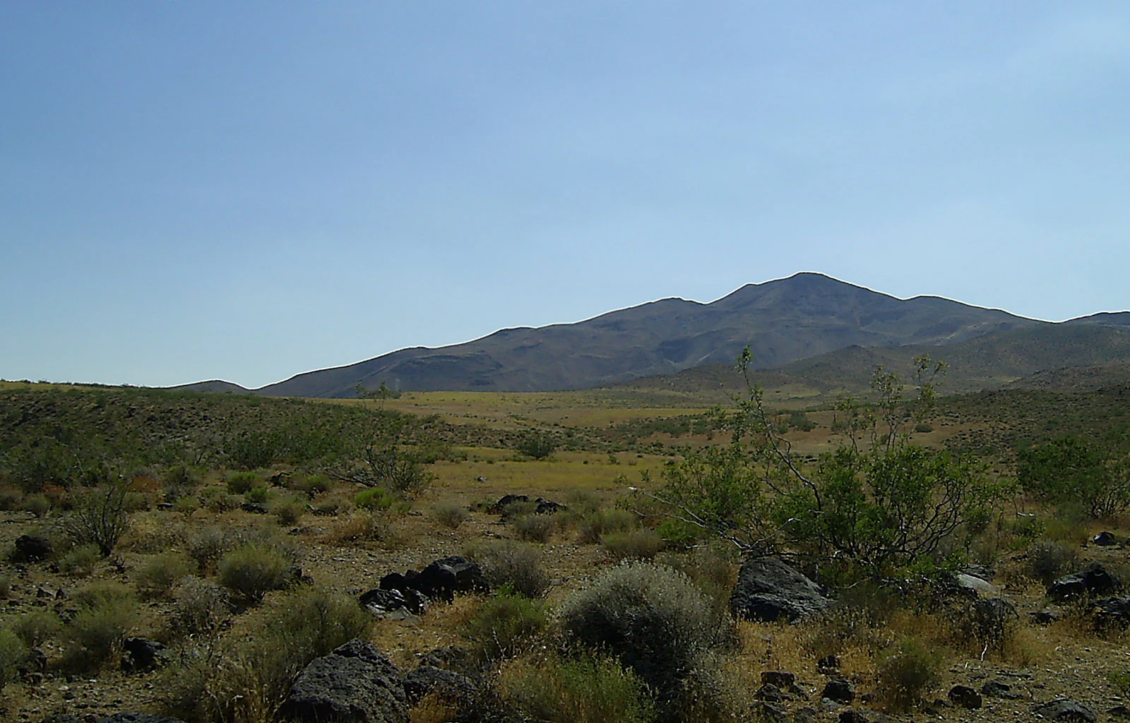 A wide desert landscape featuring arid shrubland in the foreground leading to a large, rounded mountain peak under a clear blue sky.