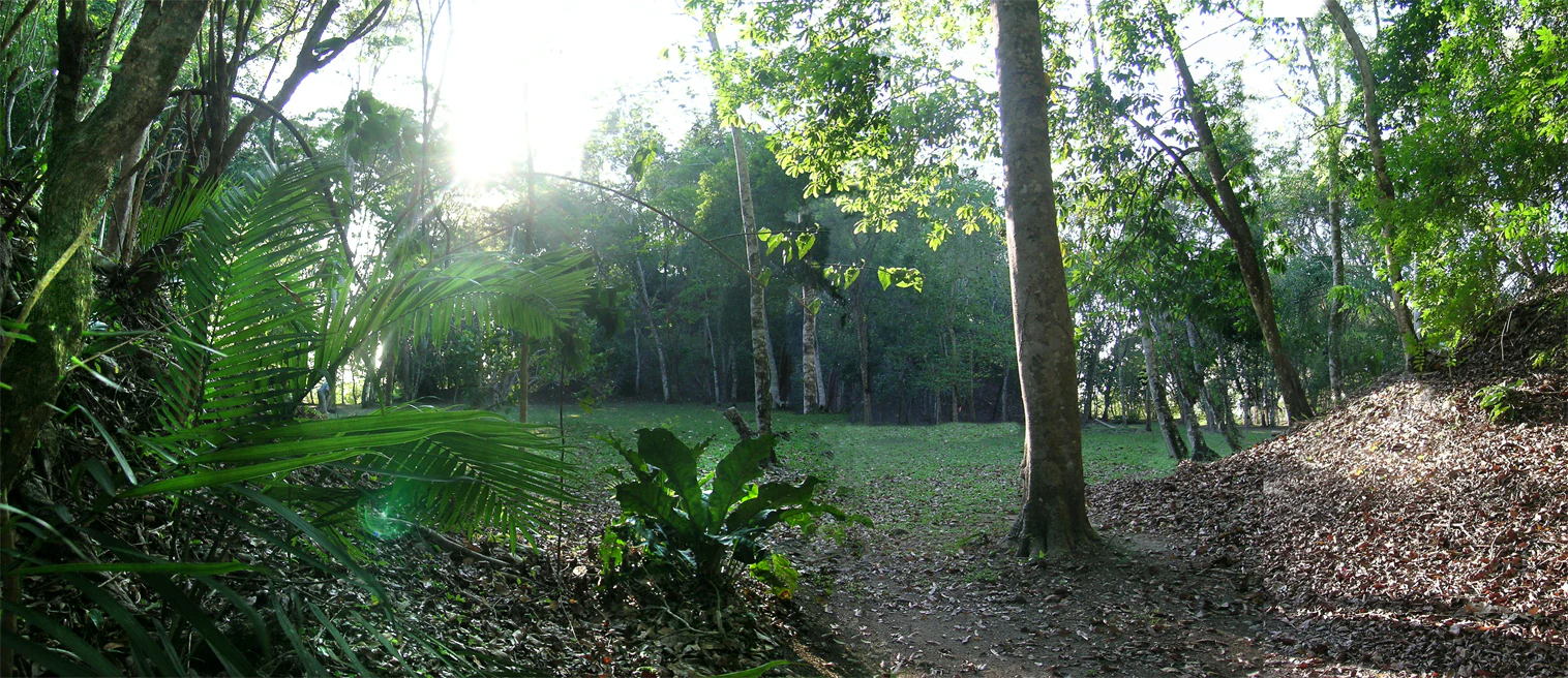 A wide, sun-drenched clearing surrounded by dense tropical forest, known as Plaza Copal at El Pilar.