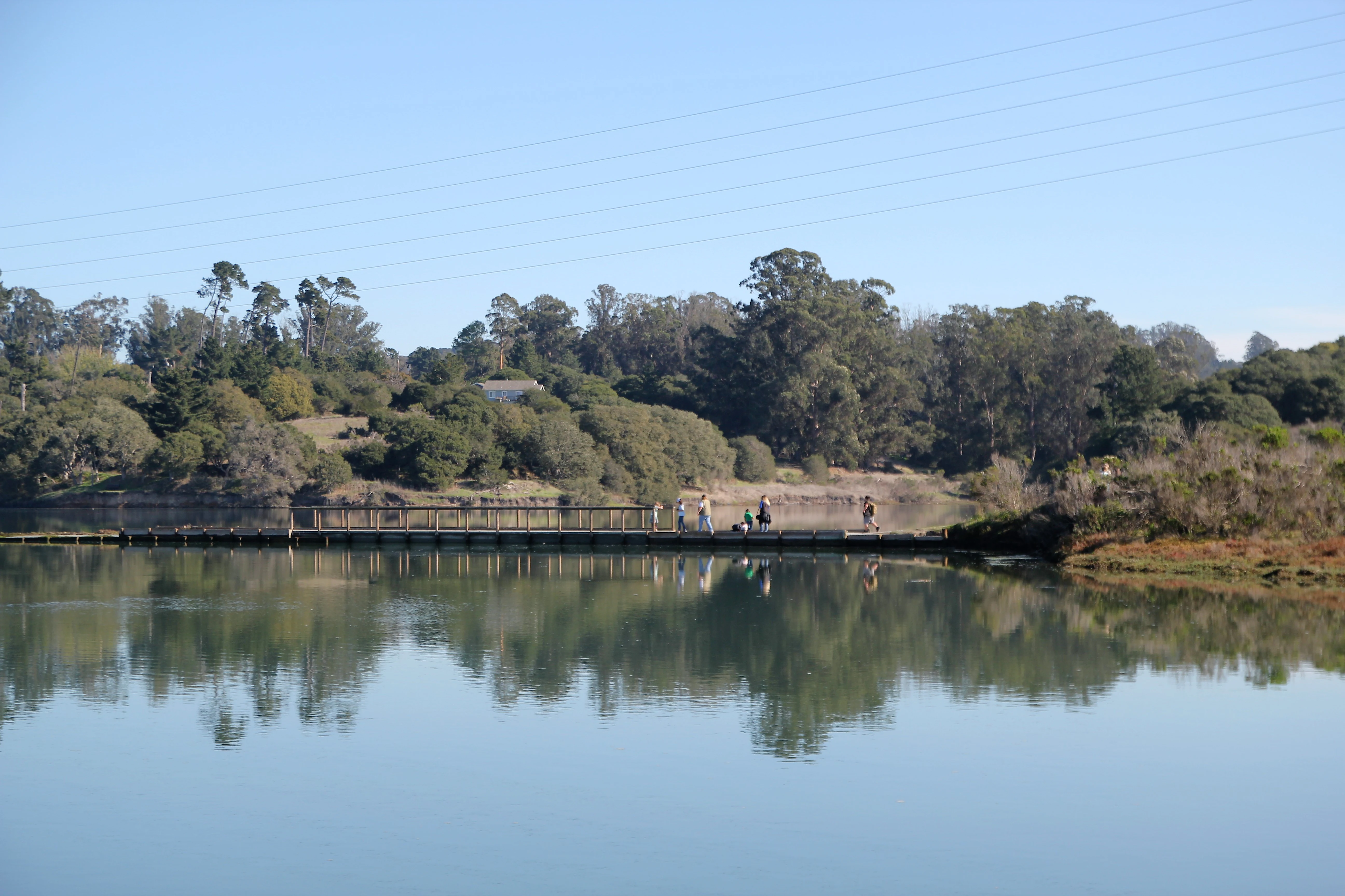 A wide shot of a long wooden pier with a railing stretching across a calm estuary, reflecting in the water, with dense green trees and shrubs lining the banks under a clear blue sky.