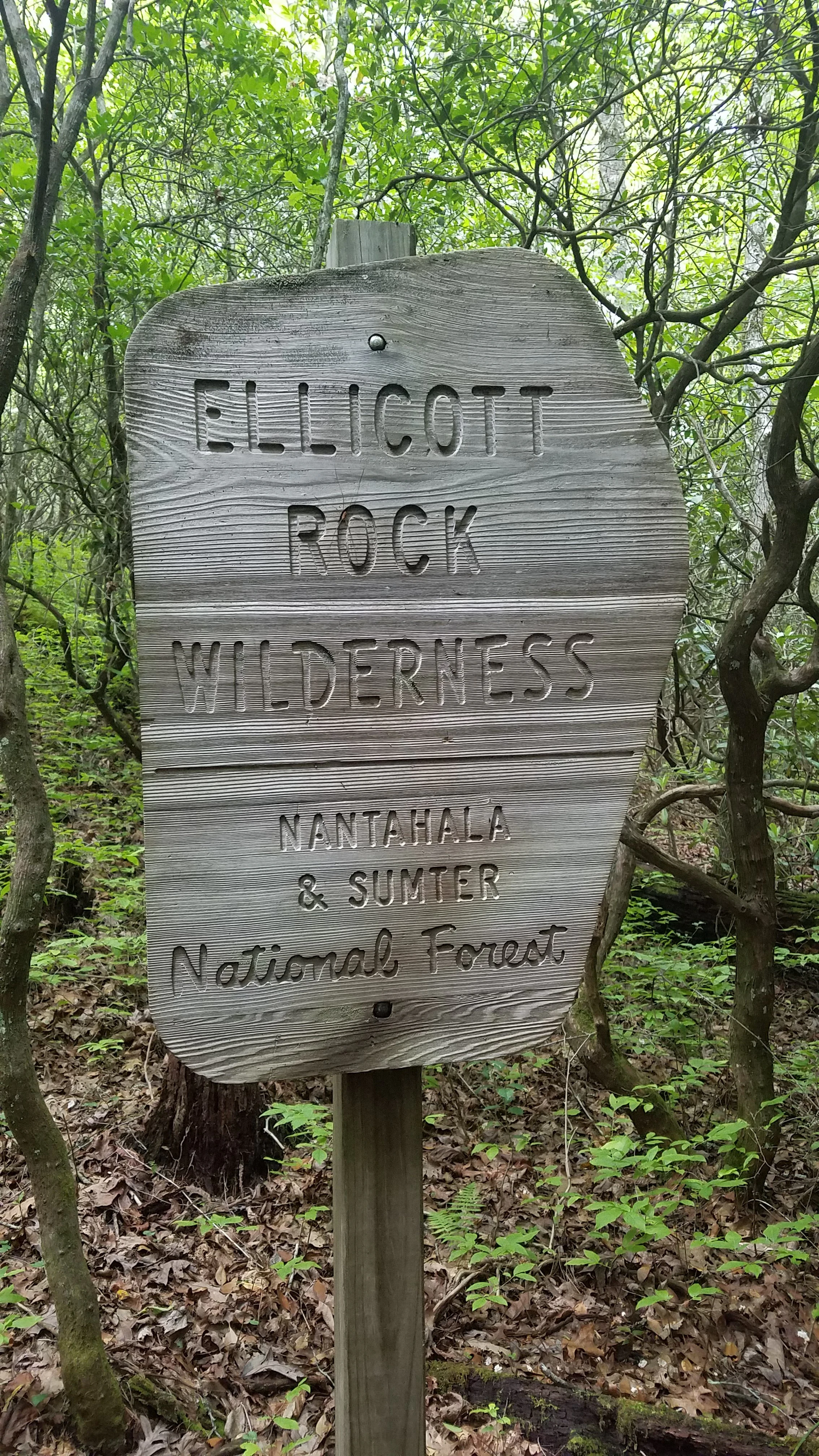 A weathered wooden sign mounted on a post in a forest, engraved with the text 'ELLICOTT ROCK WILDERNESS, NANTAHALA & SUMTER National Forest'.