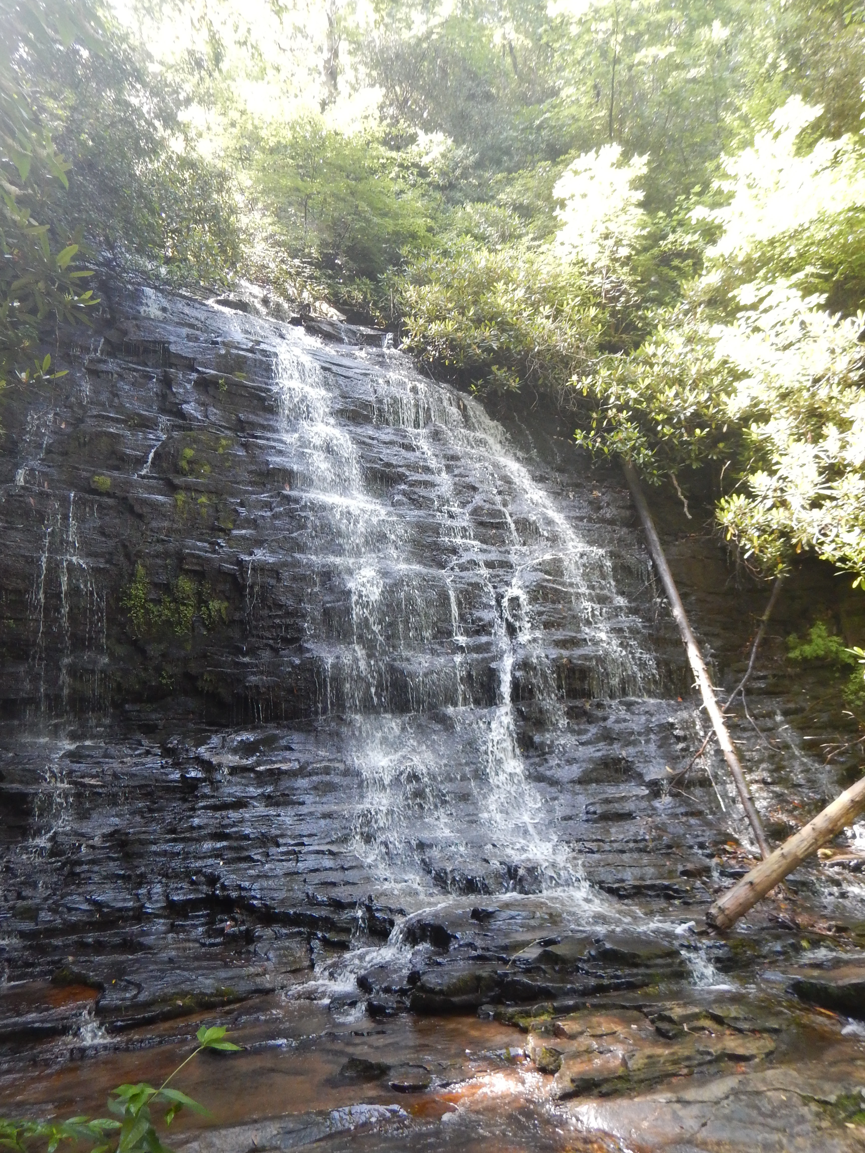 A multi-tiered waterfall cascading down a dark, layered rock face surrounded by dense green forest foliage.